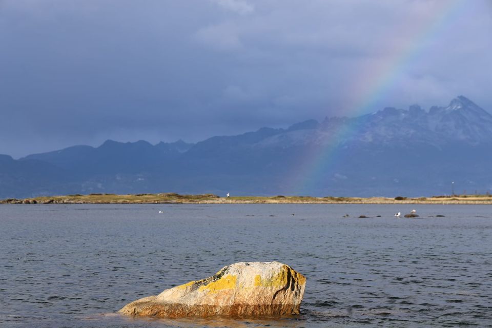 Catching the Voices That Aren’t Me