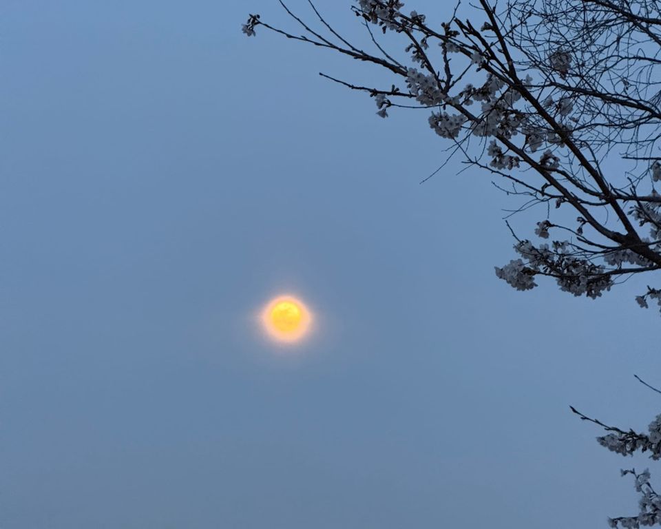 What the Crossing Border Framework Actually Is