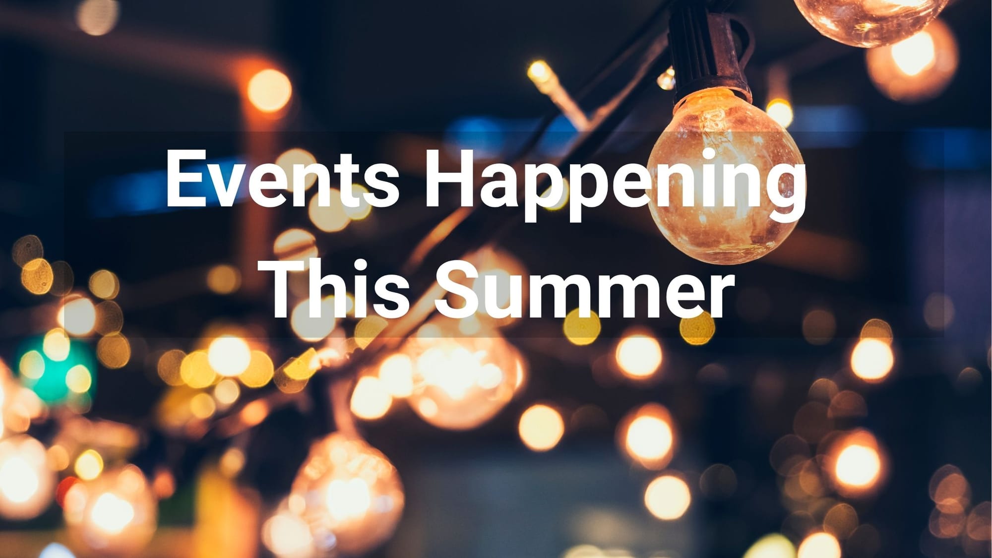 Amsterdam Summer Festivals Guide