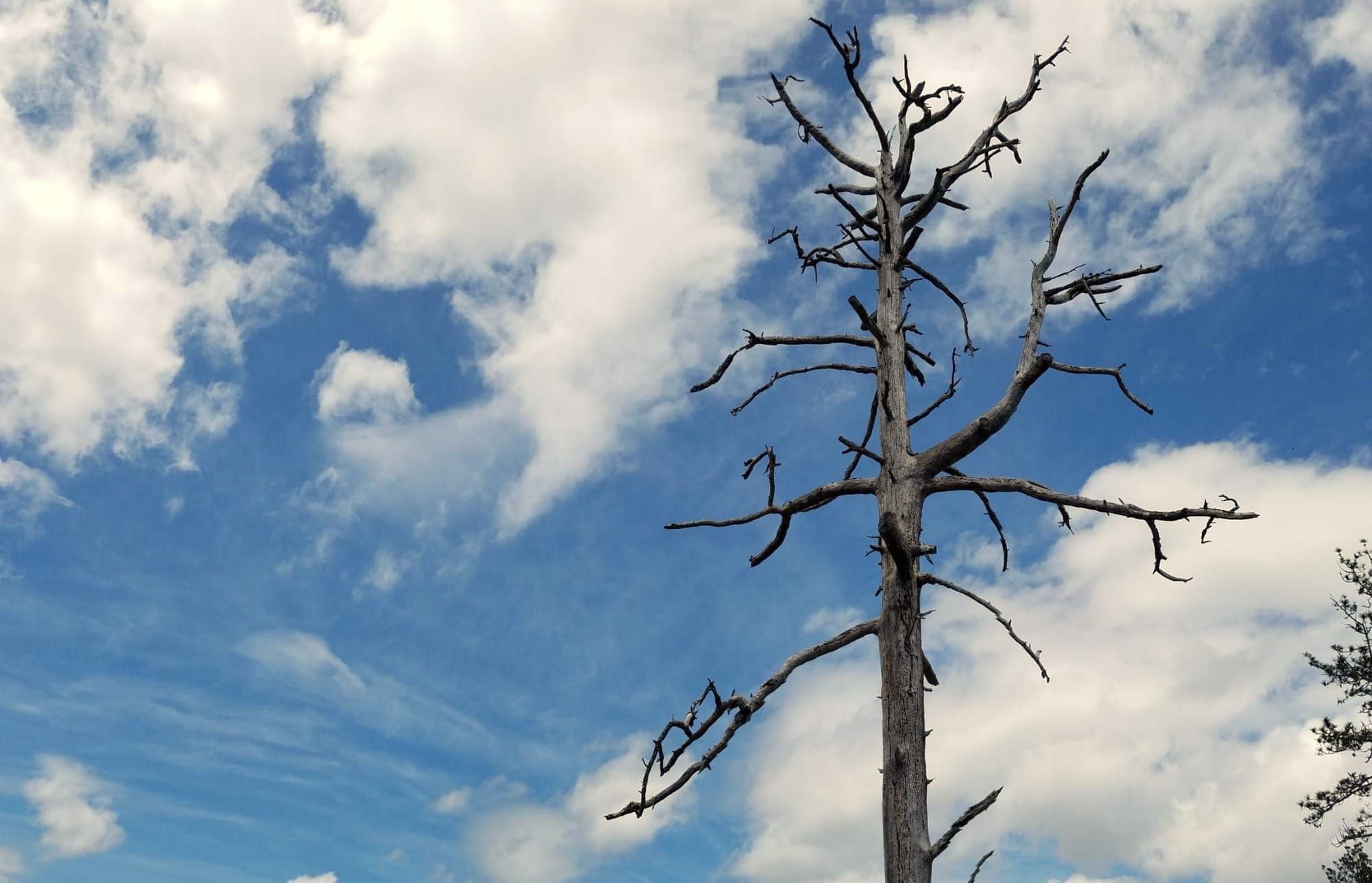 When a Layoff Means More Than a Job Loss