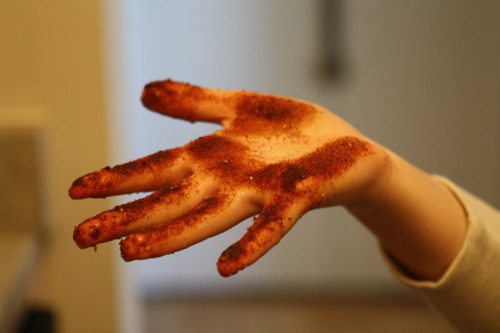 Open hand with fingers and palm coated in red barbecue dry rub seasoning after prepping a rack of ribs for dinner.