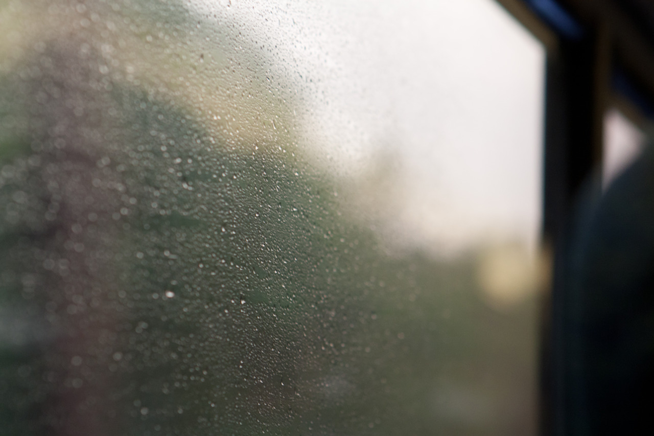 Close-up of raindrops and condensation beads coating a window pane with blurred green foliage outside.
