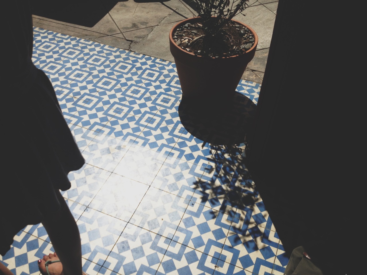 High-angle view of sunlight and shadows across blue and white geometric patio tiles beside a terracotta potted plant at Intelligentsia Coffee in Silver Lake, captured on an iPhone 4S.