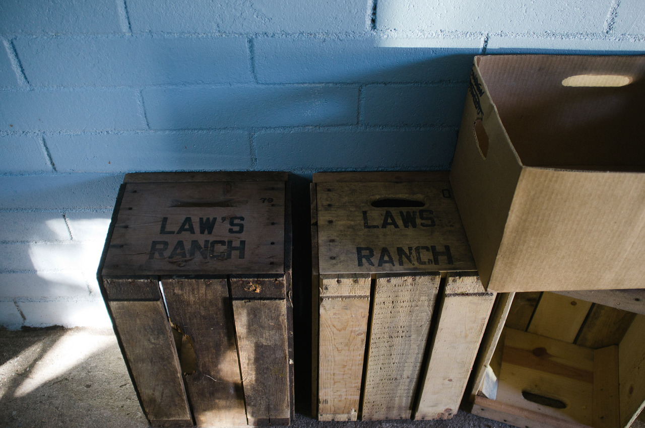 Rustic wooden apple crates stenciled with 'LAW'S RANCH' resting against a pale blue cinder block wall, captured with a Fujifilm FinePix X100.