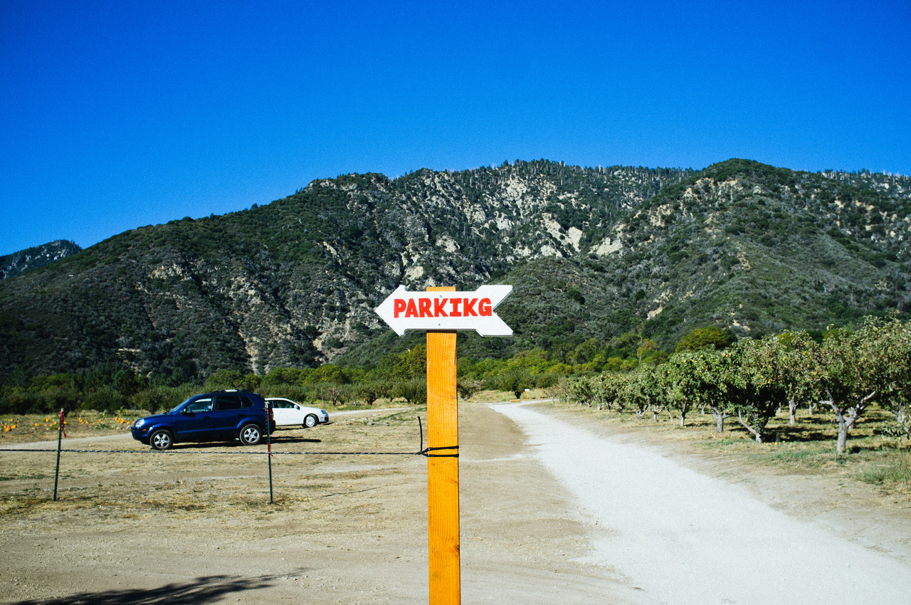 Handmade wooden signpost with an arrow reading 'PARKIKG' pointing toward an apple orchard parking lot in Oak Glen, captured with a Fujifilm FinePix X100.