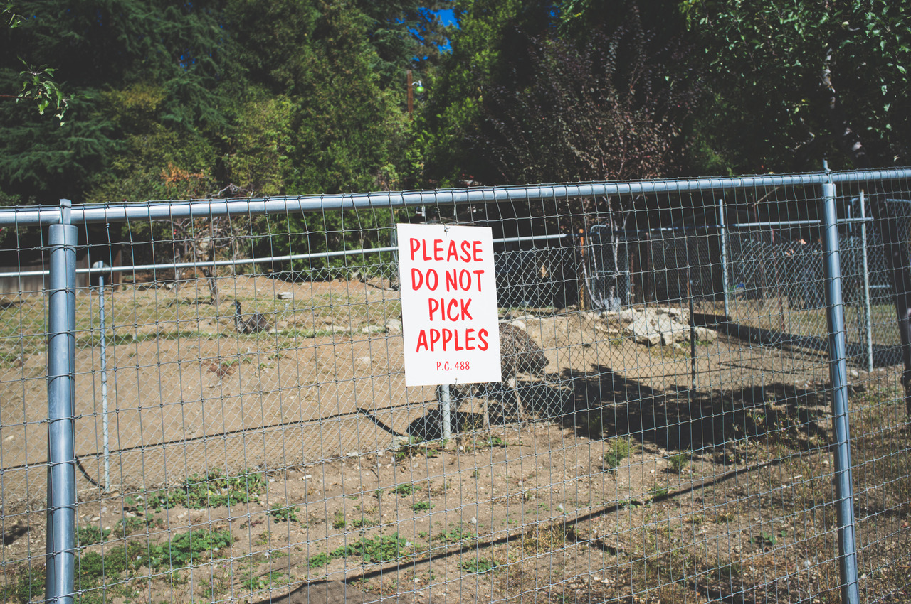 Orchard chain-link fence with a 'PLEASE DO NOT PICK APPLES' sign and an emu walking in the enclosure behind, captured with a Fujifilm FinePix X100.