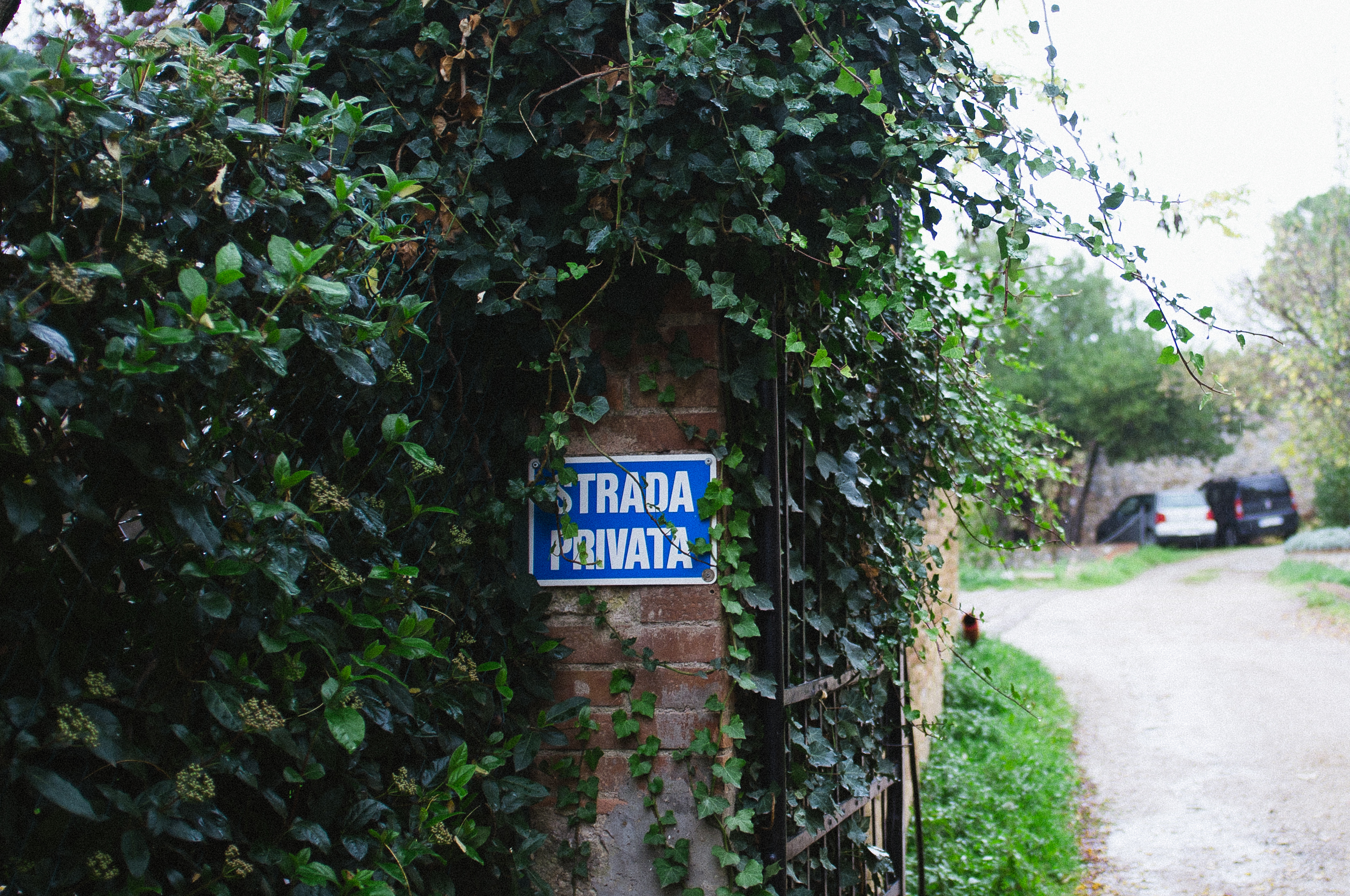 Blue and white 'Strada Privata' private road sign mounted on a brick pillar overgrown with lush green ivy, captured with a Fujifilm FinePix X100.