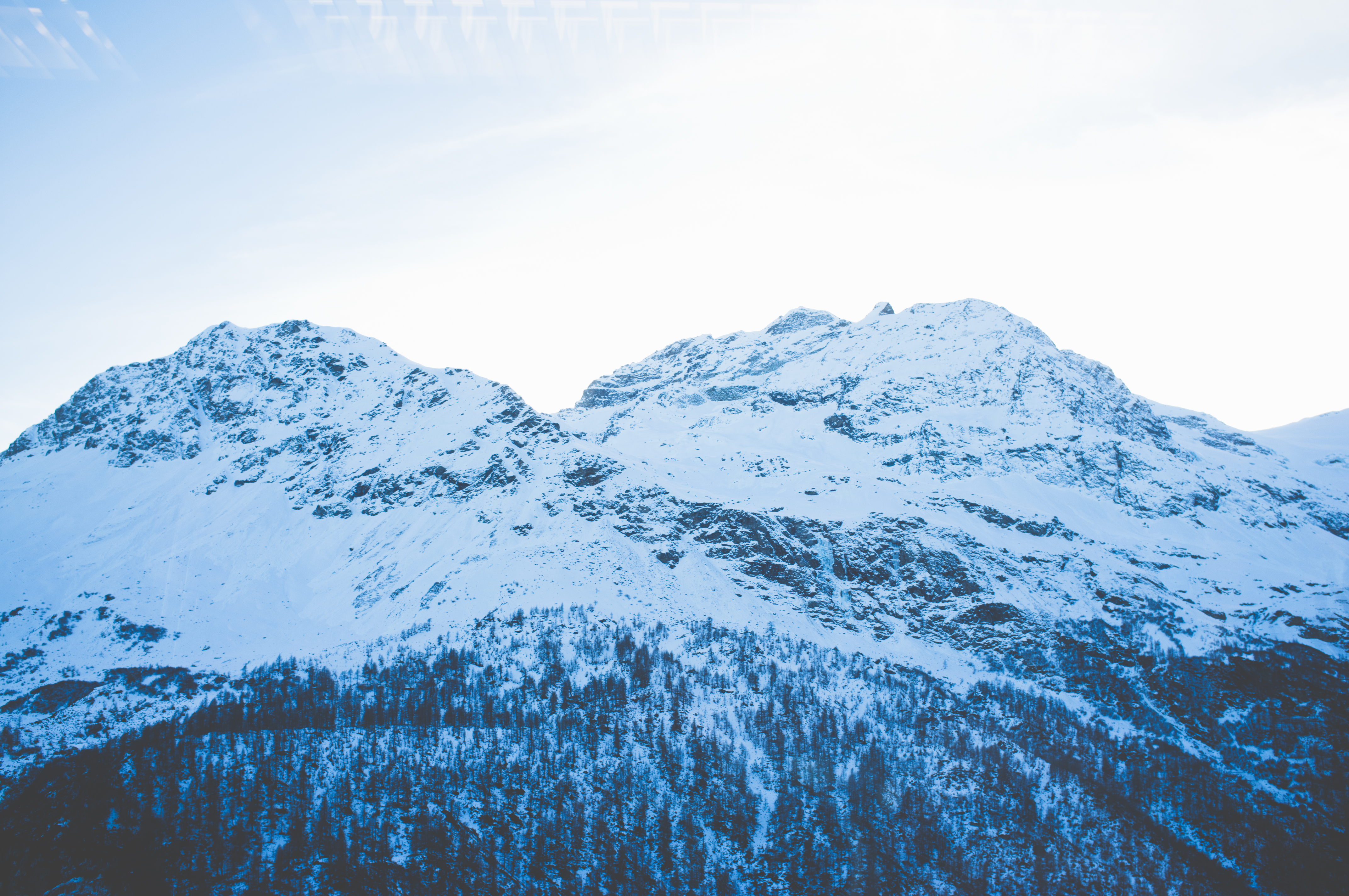 Massive snow-blanketed Alpine mountain peaks rising above dense dark pine forest under clear sky in Switzerland.