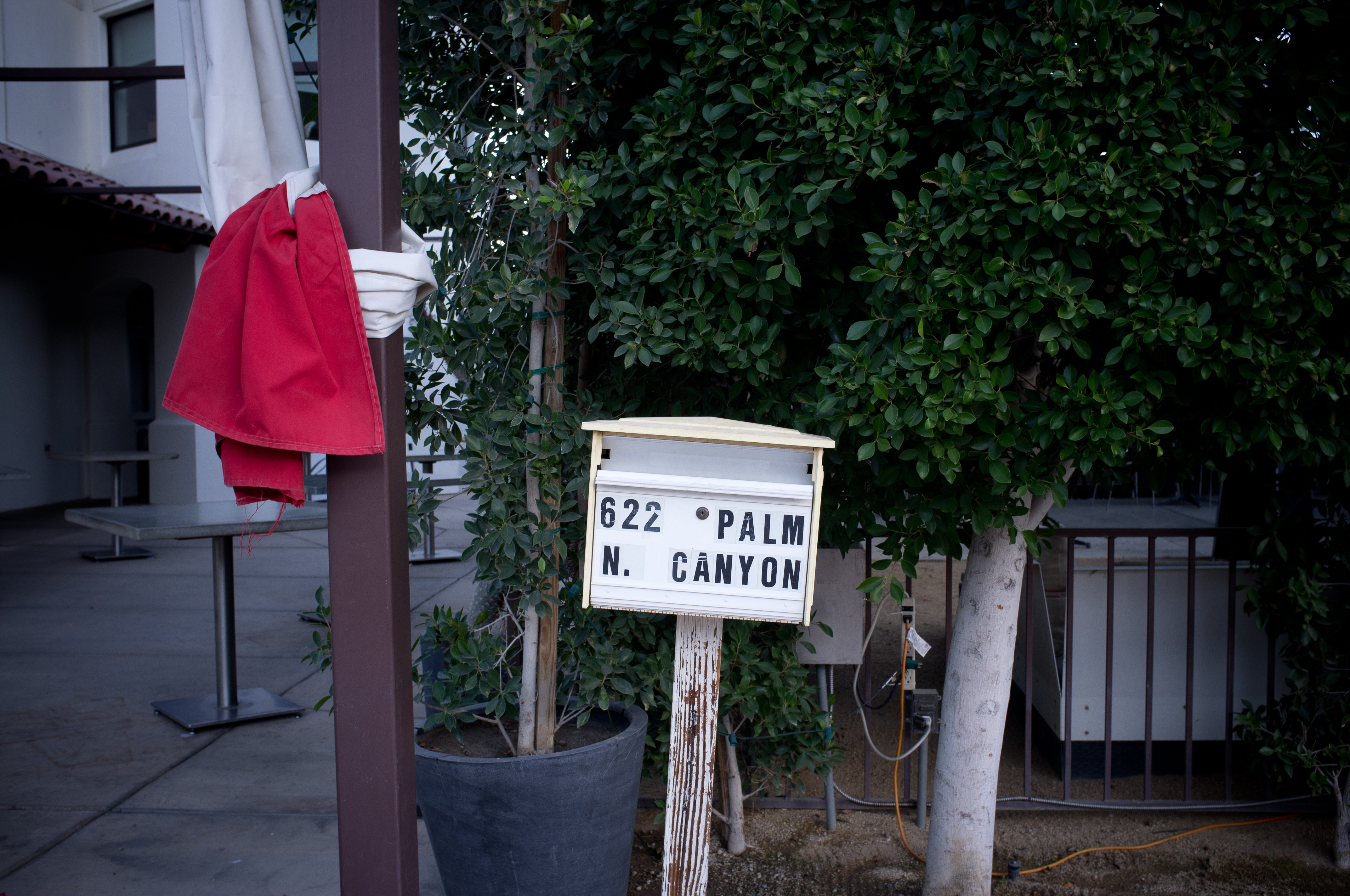 Mailbox signage '622 N. PALM CANYON' beside potted ficus tree and red patio umbrella in Palm Springs.