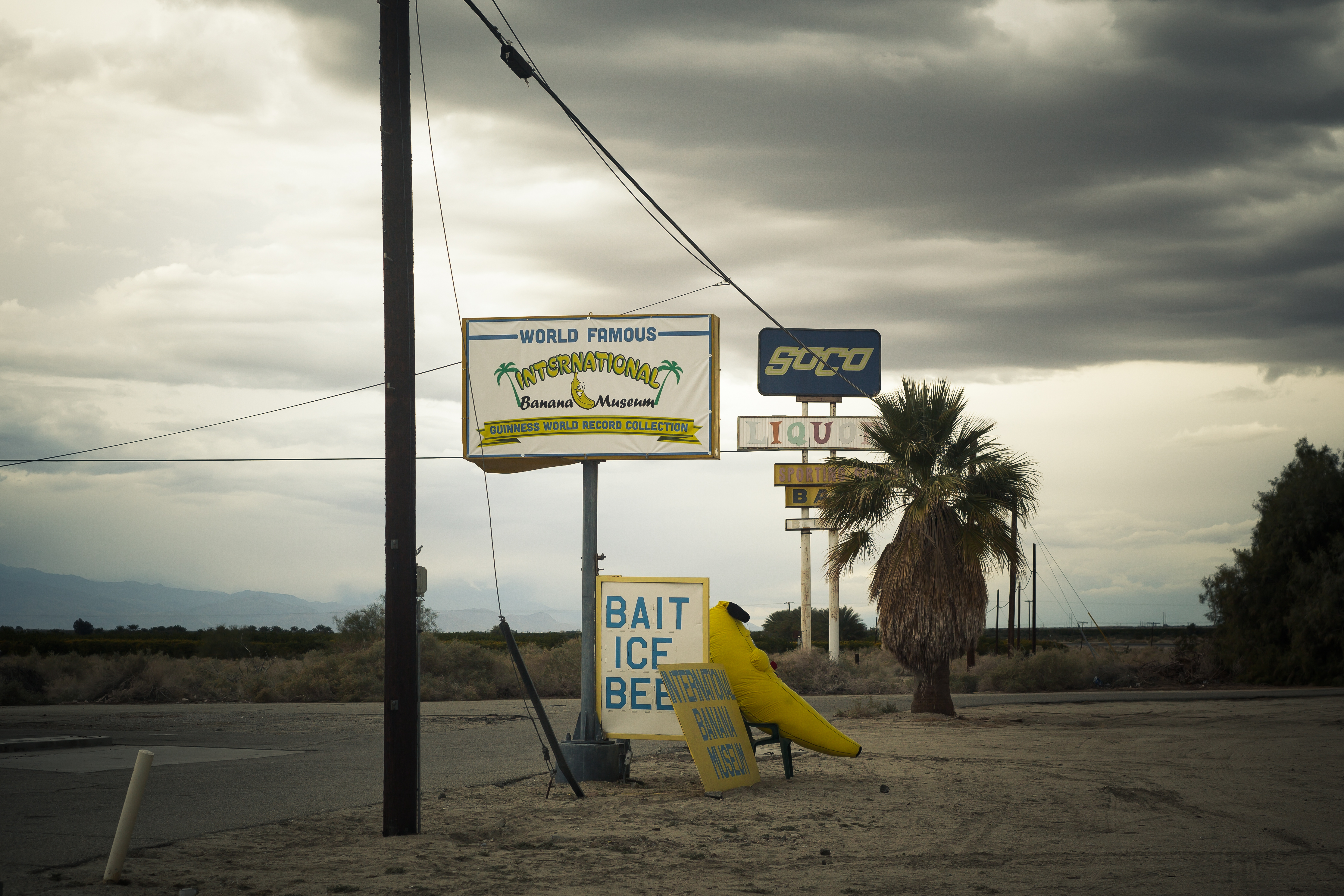 Roadside storefront for 'The World Famous International Banana Museum' featuring a large bright yellow banana sign.