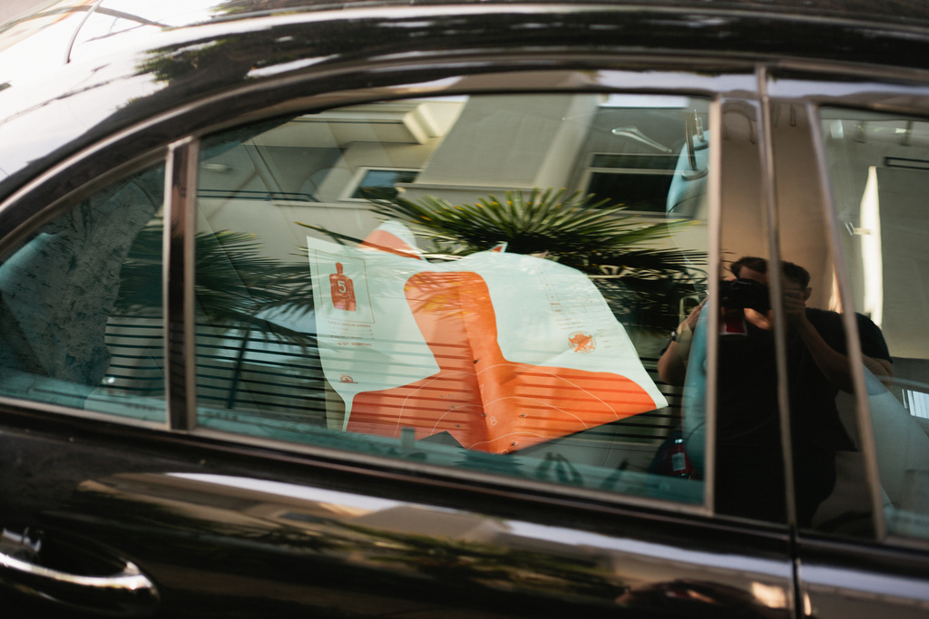 Paper shooting target with bullet holes in a car window, reflecting palm trees and buildings.