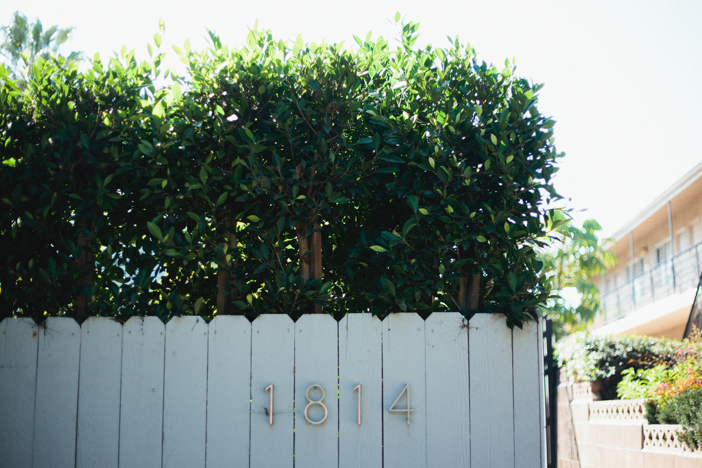 White wooden fence displaying house number 1814 beneath a dense green privacy hedge.