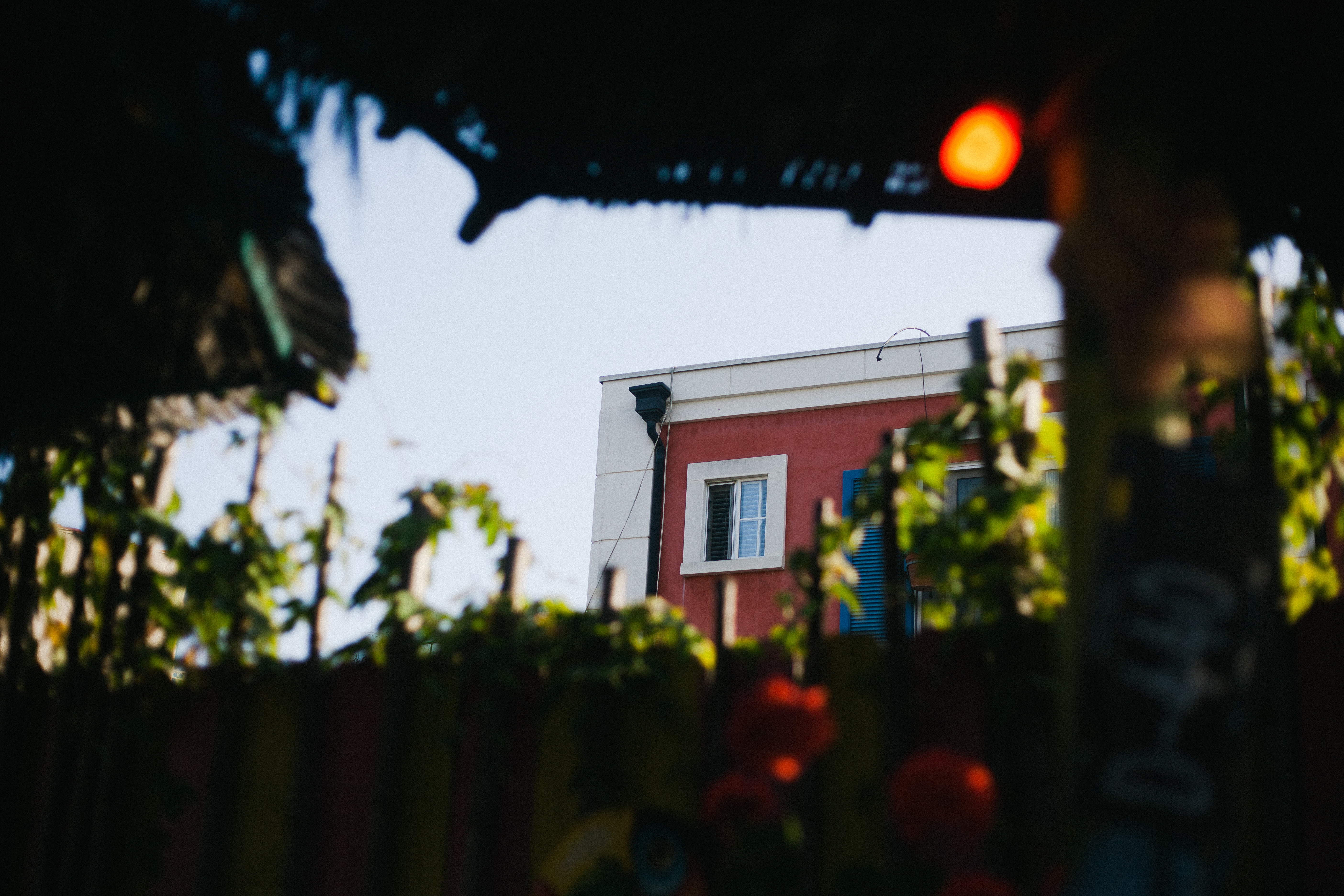 Upper story of a salmon-pink building with a white window frame and blue shutters viewed beyond garden greenery.