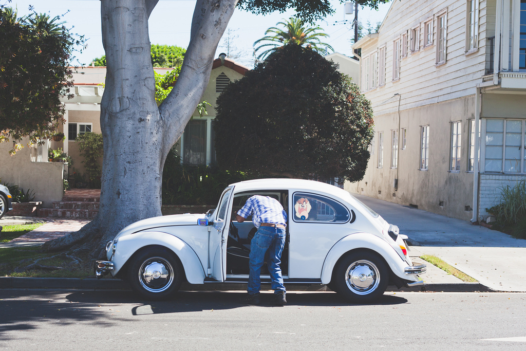 Man in a plaid shirt leaning into an open vintage white Volkswagen Beetle beneath a shade tree.