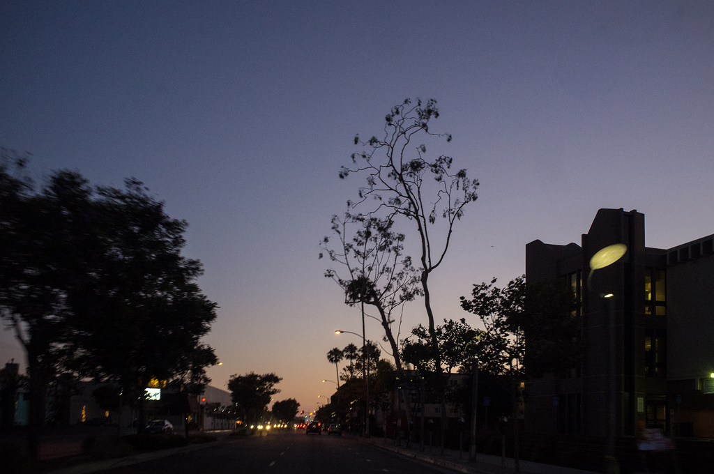 View through a car windshield driving down a tree-lined street at dusk with taillights ahead.