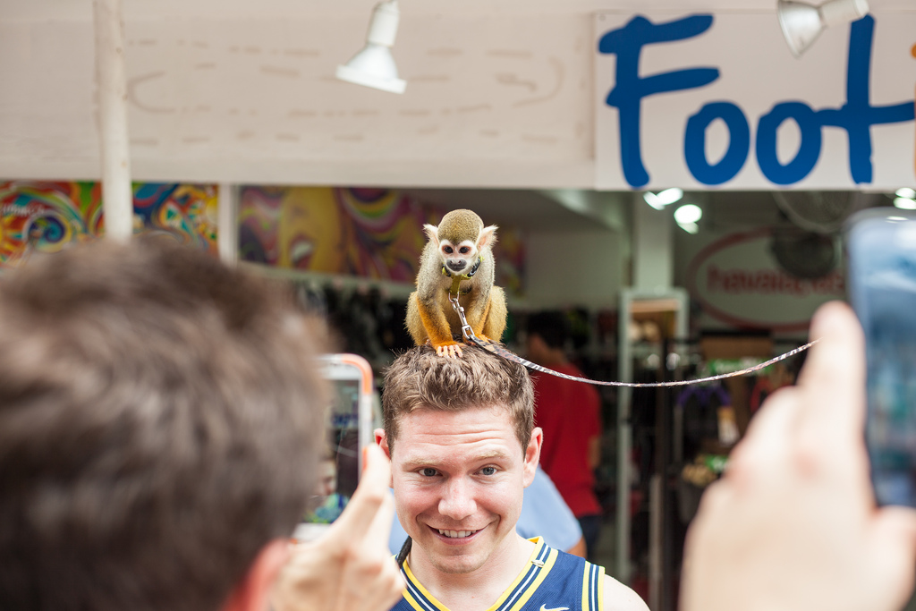 Smiling young man with a tiny squirrel monkey perched on his head while onlookers take photos.