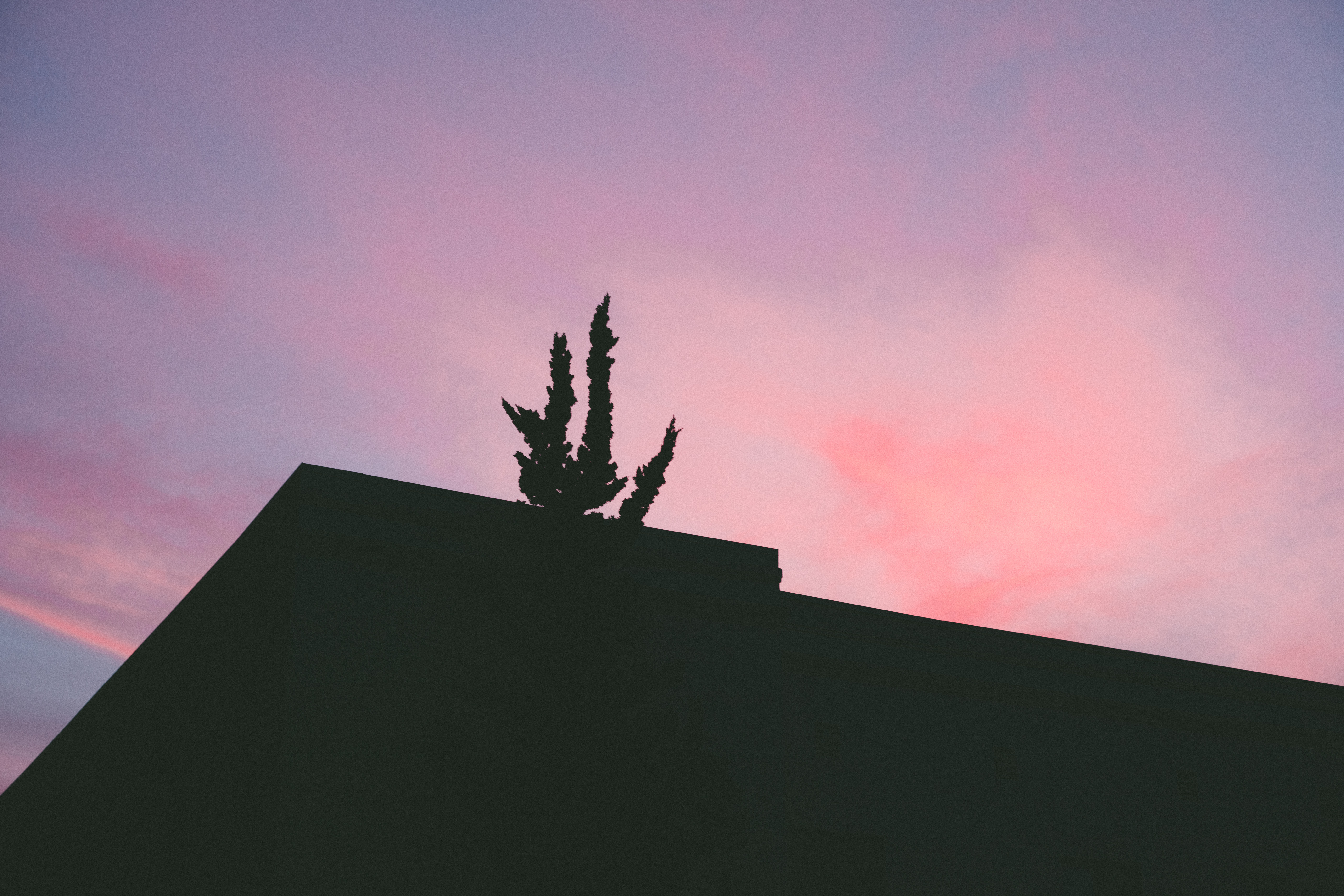 Silhouette of a geometric building roofline and tree against a vibrant magenta and lavender sunset sky.