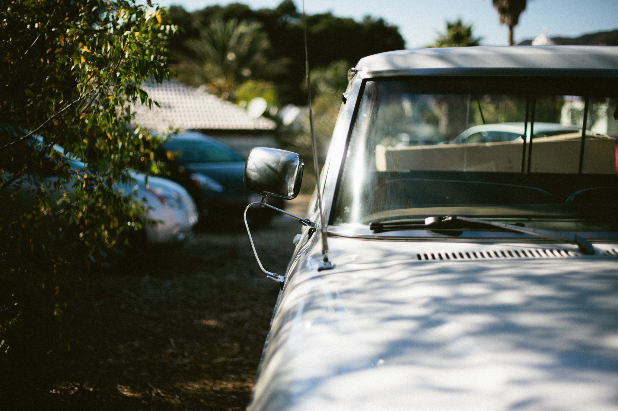 Side profile and chrome side mirror of a white vintage pickup truck dappled with leaf shadows in a driveway.