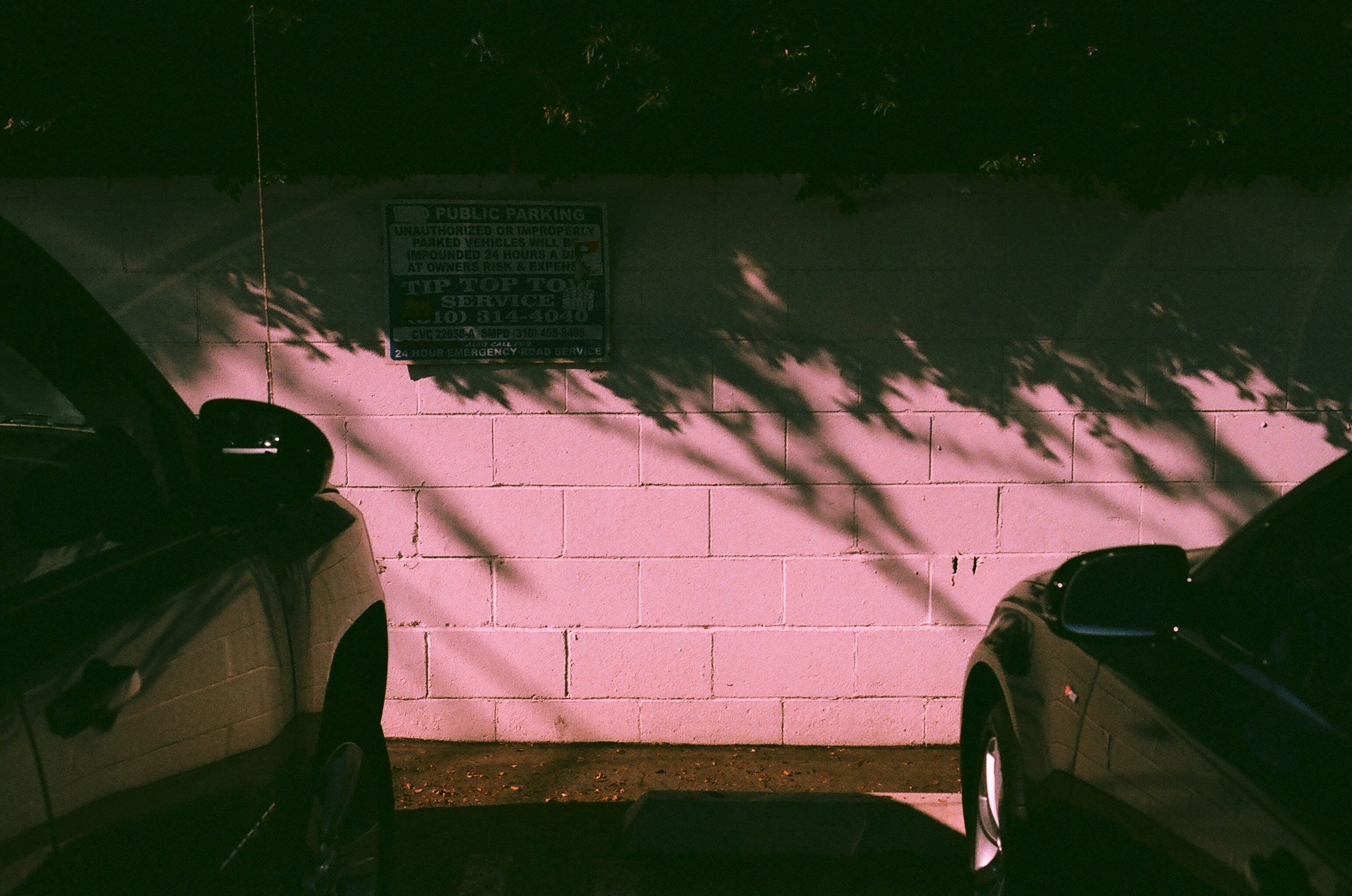 White cinderblock parking wall with dappled tree shadows and a Tip Top Tow Service sign flanked by two parked cars.