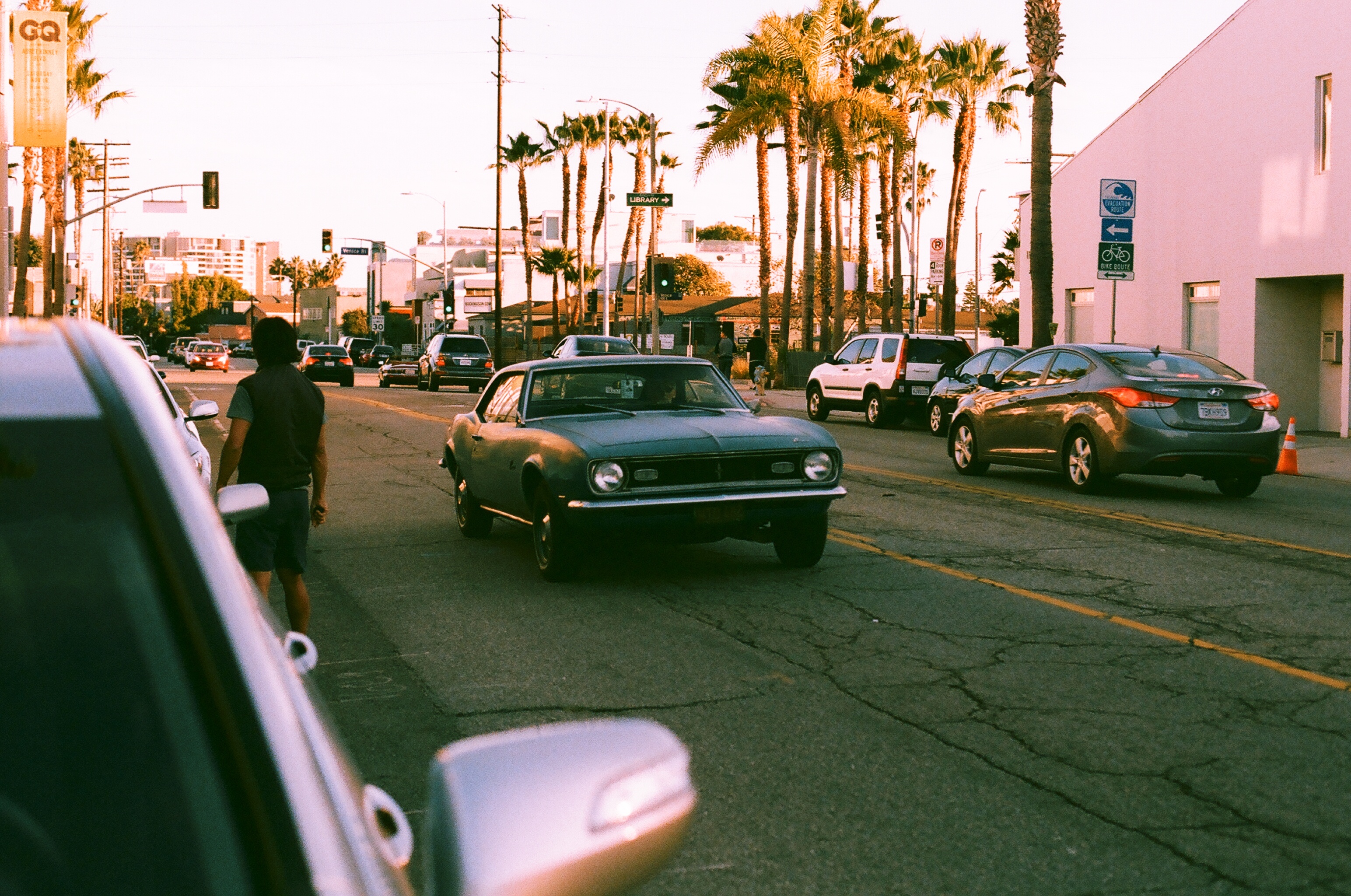 Classic dark blue Chevrolet Camaro driving down a palm-lined street in Venice Beach under warm afternoon sun.
