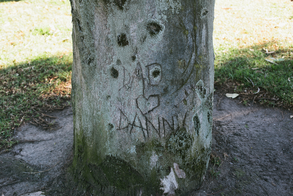 Close-up of a tree trunk with carved initials 'DAD', a heart, and the name 'DANNY' in the weathered bark.