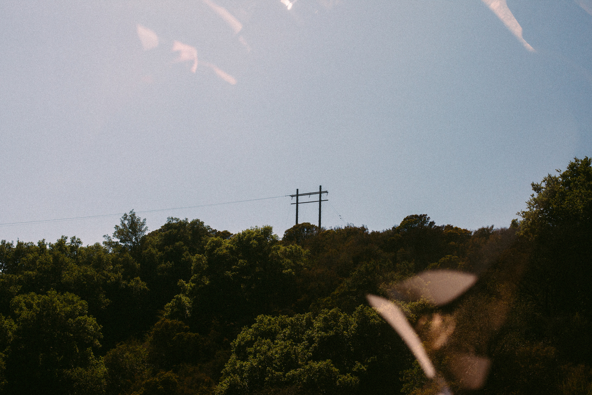 Wooden utility poles and power lines standing atop a chaparral-covered ridge under a bright California sky.