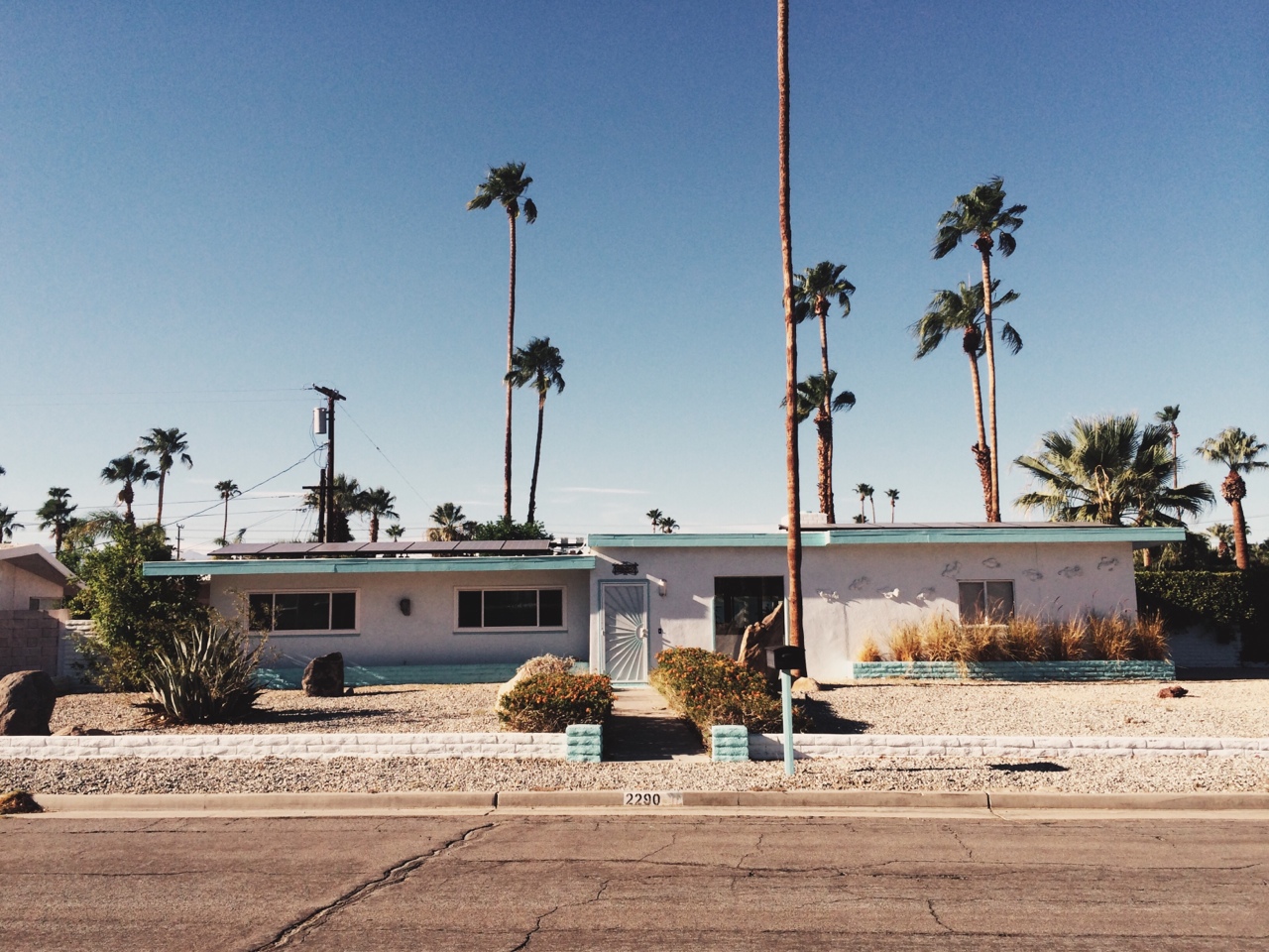 Mid-century modern home with turquoise trim, desert plants, and tall fan palm trees under a blue sky.