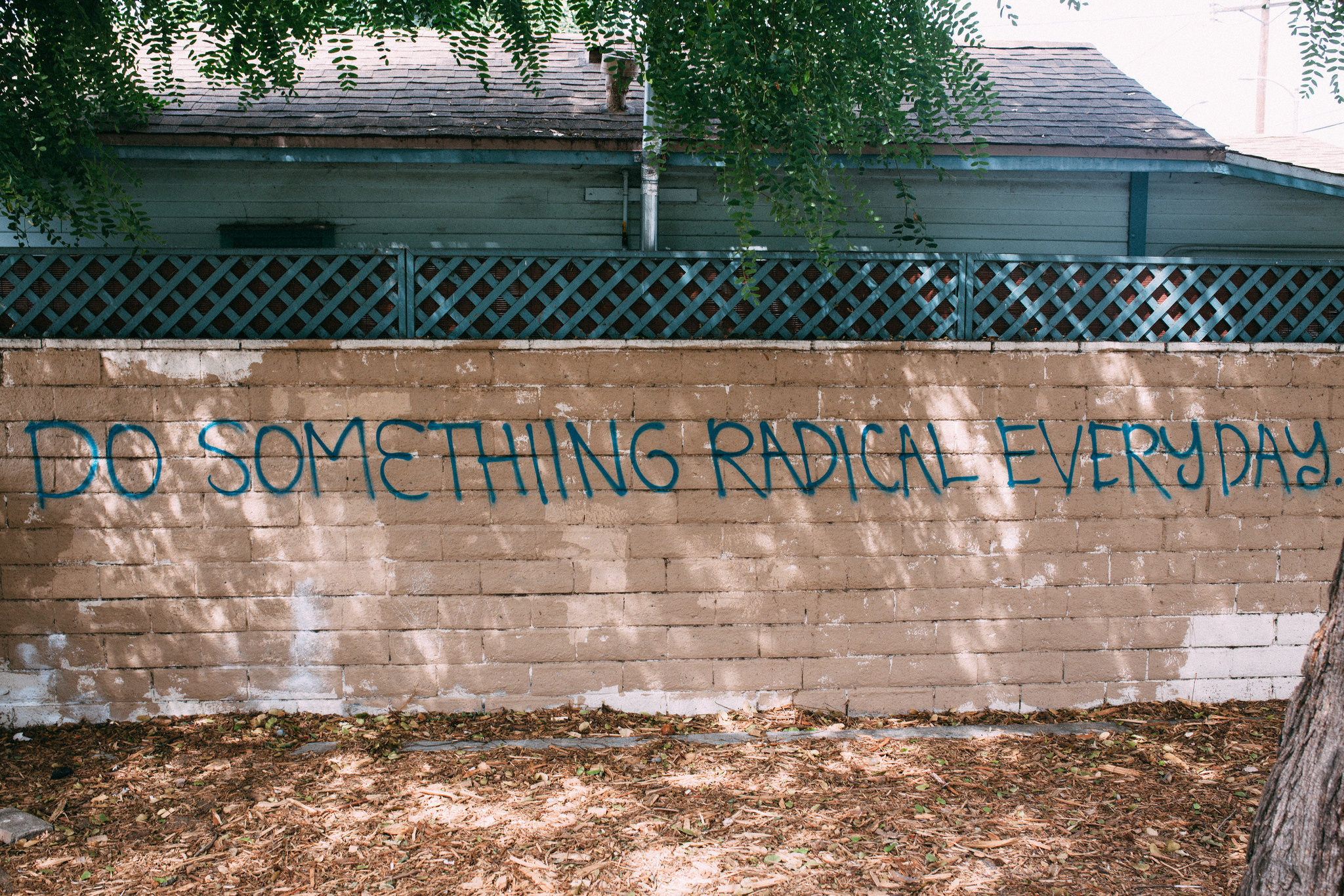 Blue graffiti reading 'DO SOMETHING RADICAL EVERYDAY.' on a light brick wall below a green lattice fence.