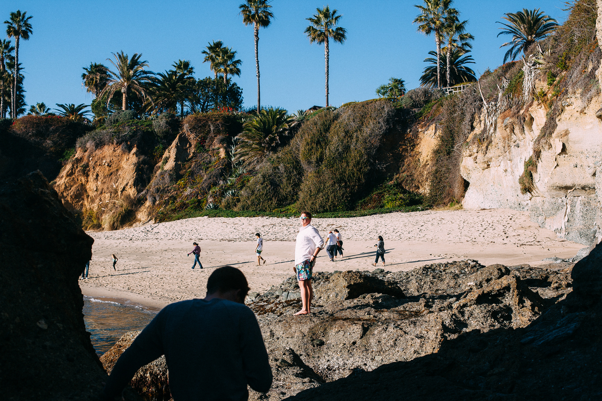 Sandy cove beach framed by towering sandstone cliffs and palm trees along a rocky California shoreline.