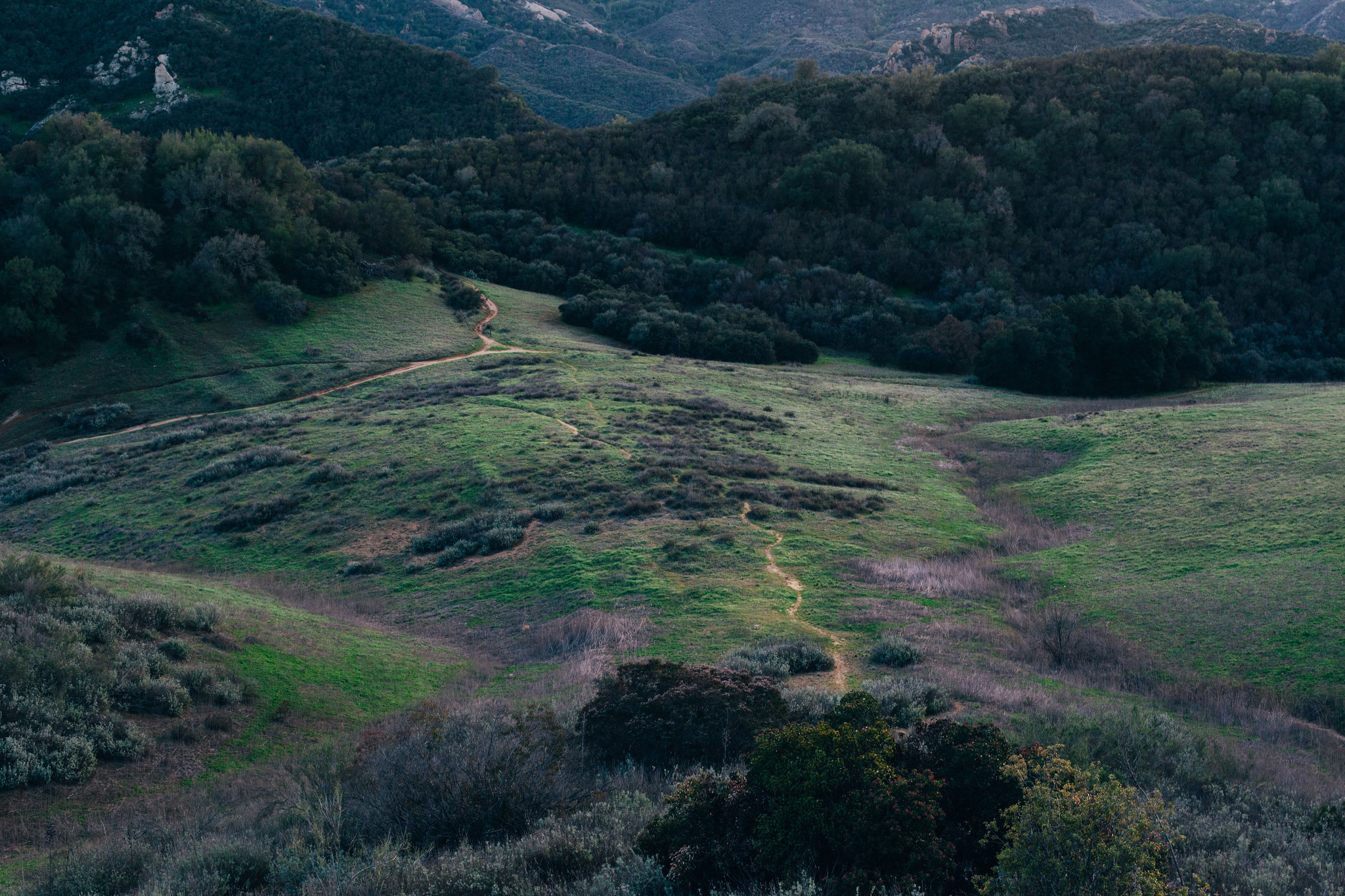 Winding dirt hiking trail cutting across green rolling hills bordered by wooded canyons in California.