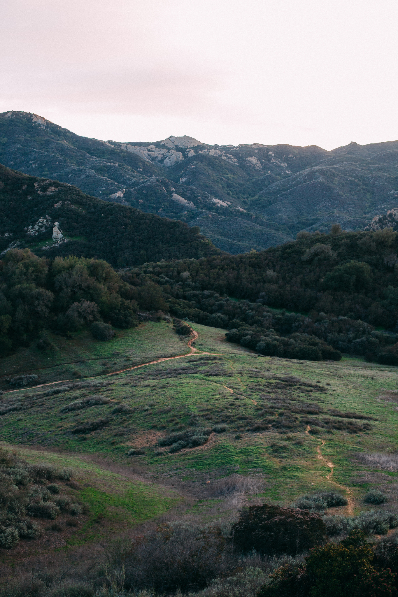 Dirt trail ascending through green grassy hills with chaparral mountains under an overcast sky.