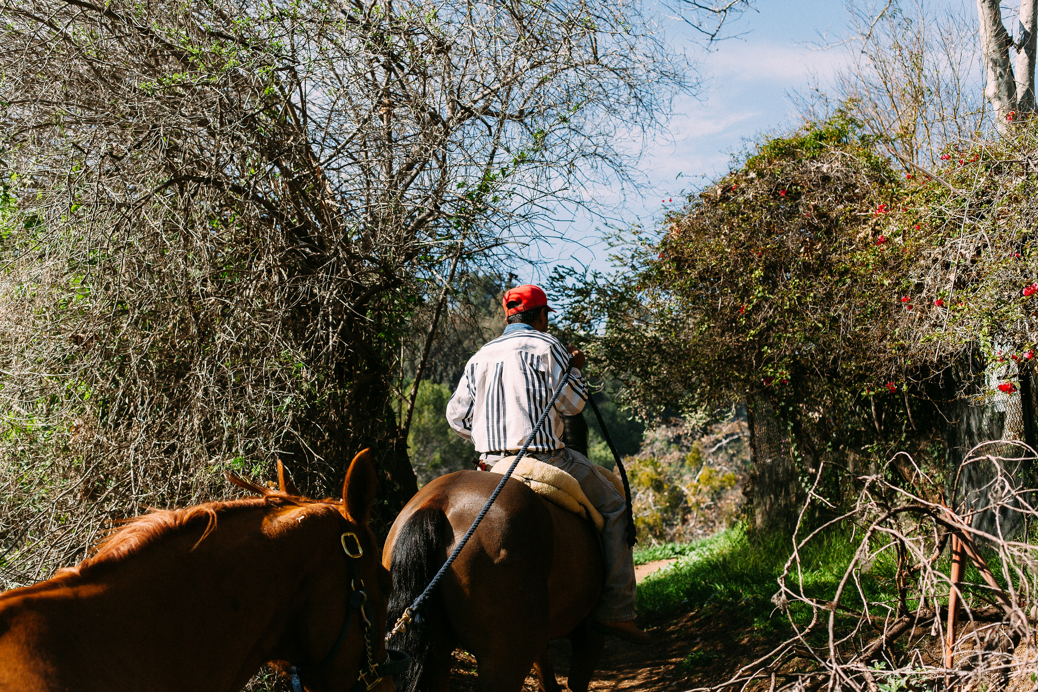 Man in a red cap and striped shirt riding a brown horse on a sunny path while leading a second horse.