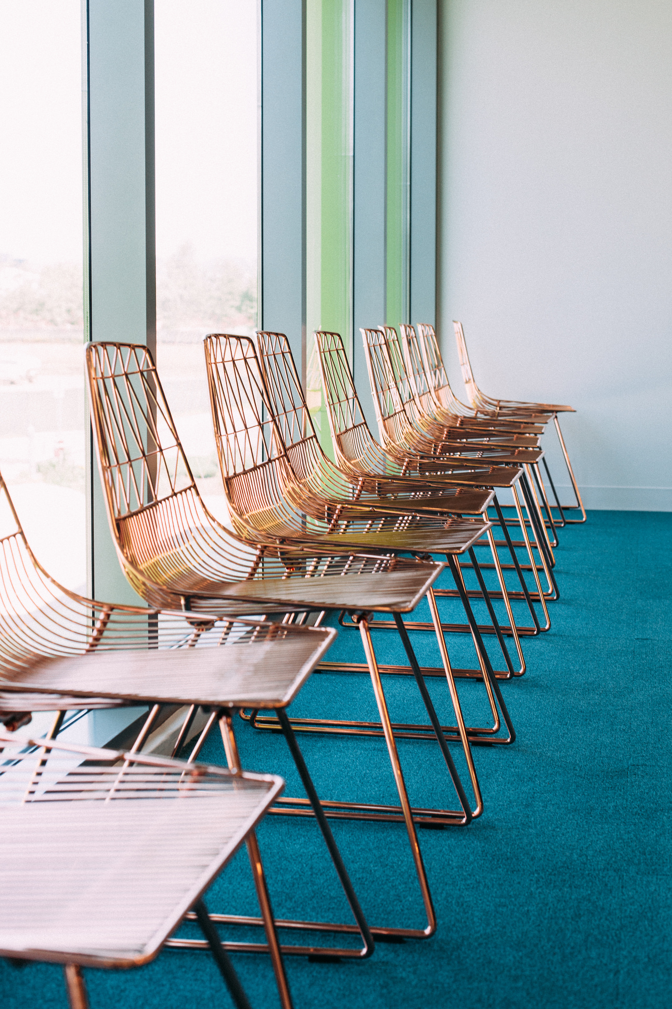 Row of modern copper wire dining chairs neatly arranged along bright window glass on teal carpeting.