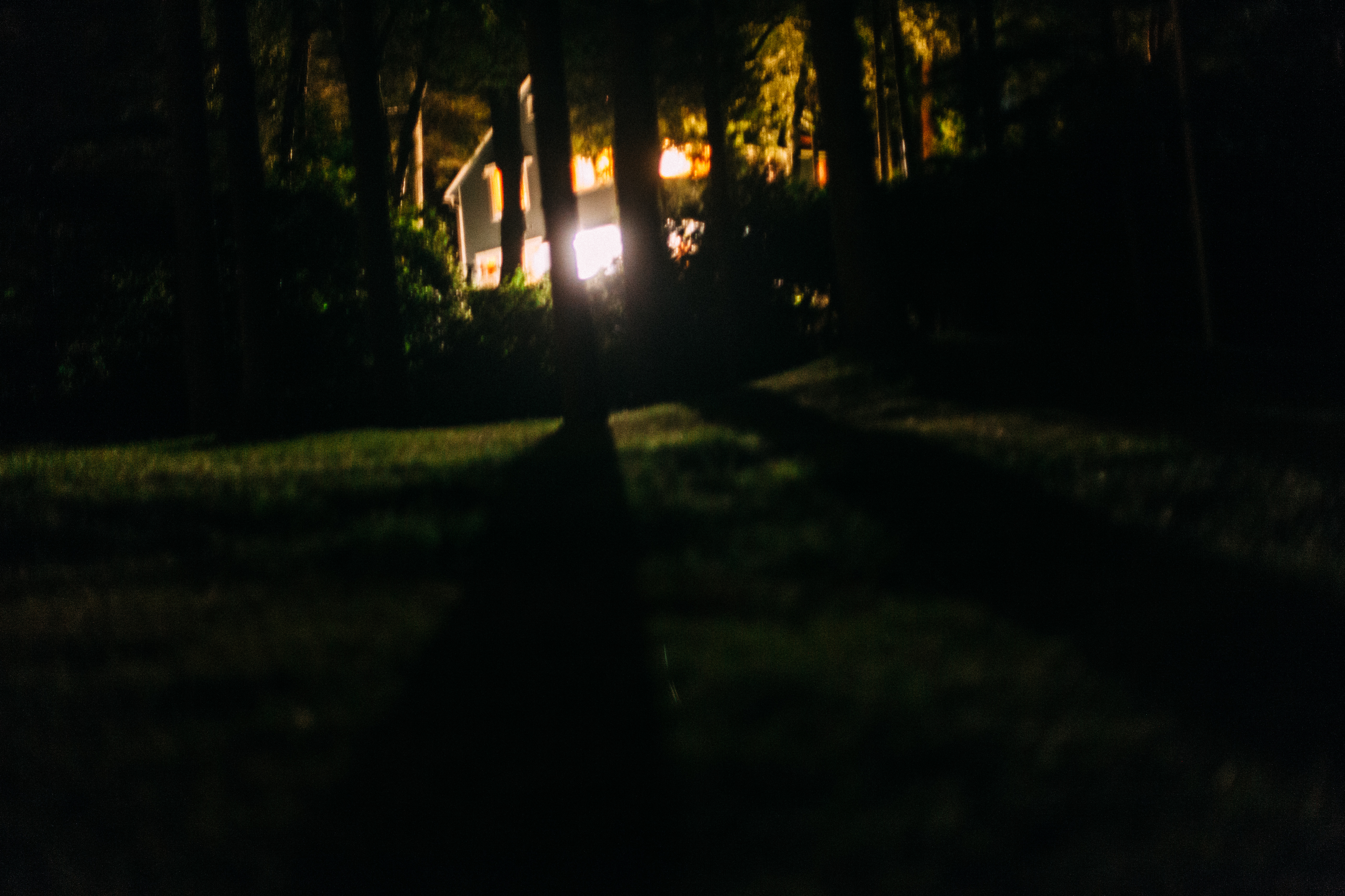 Distant illuminated house seen through dark silhouettes of trees at night.