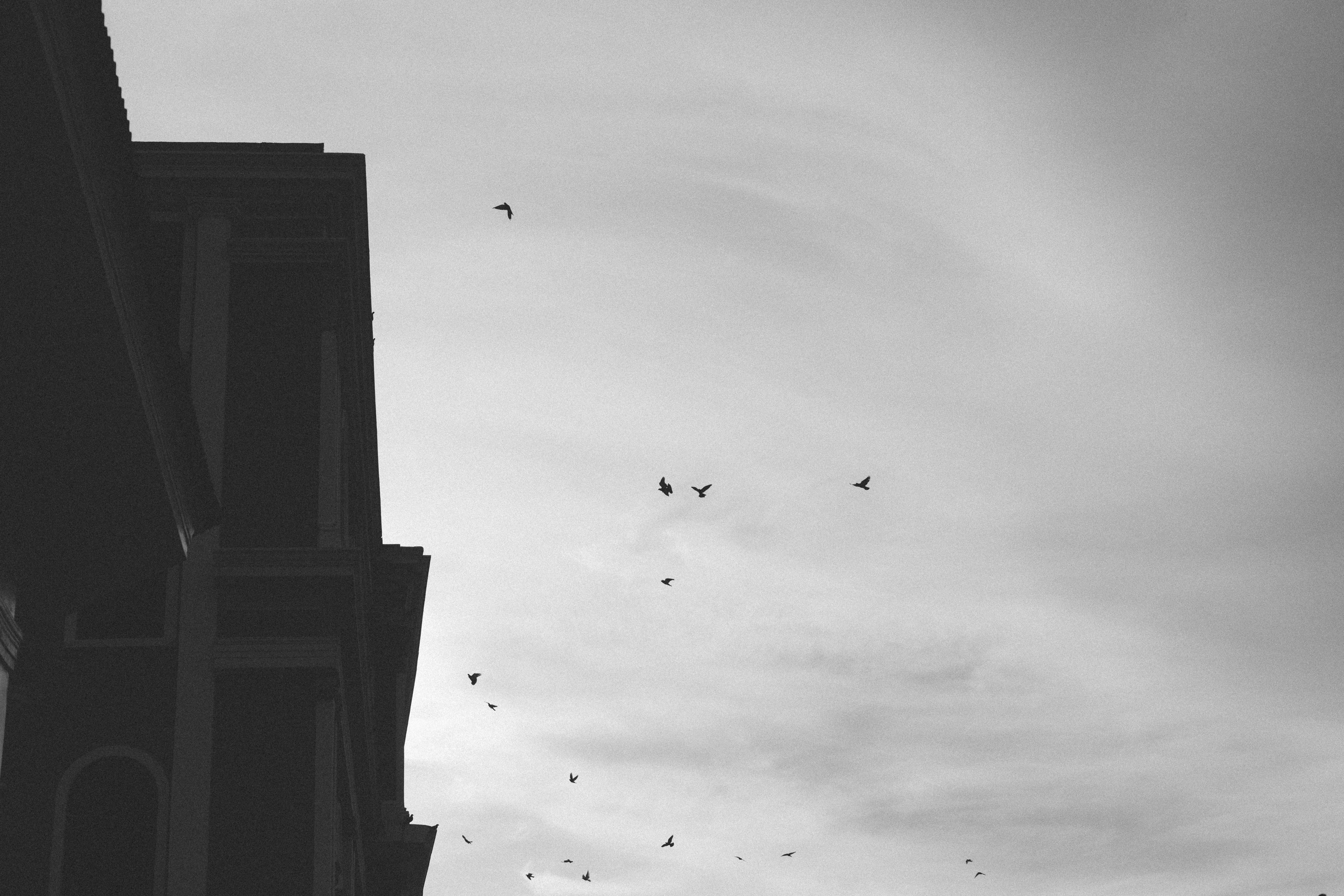 Low-angle black-and-white view of birds flying over the ornate upper facade and cornices of a colonial building against an overcast sky in Granada, Nicaragua, shot with a Canon 5D Mark II.