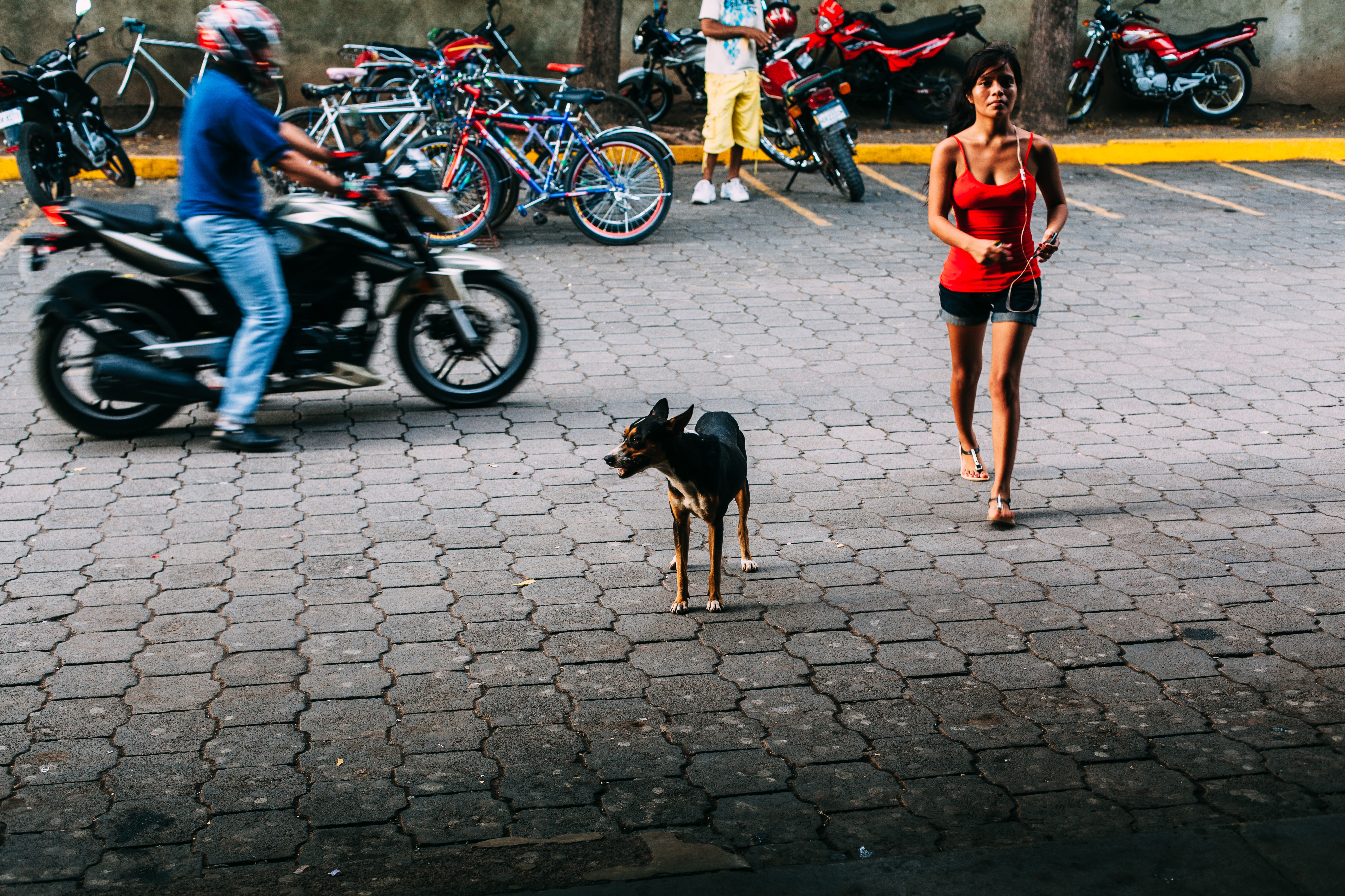 Small black and tan dog on a paved street in Granada, Nicaragua with pedestrians and a passing motorcycle.