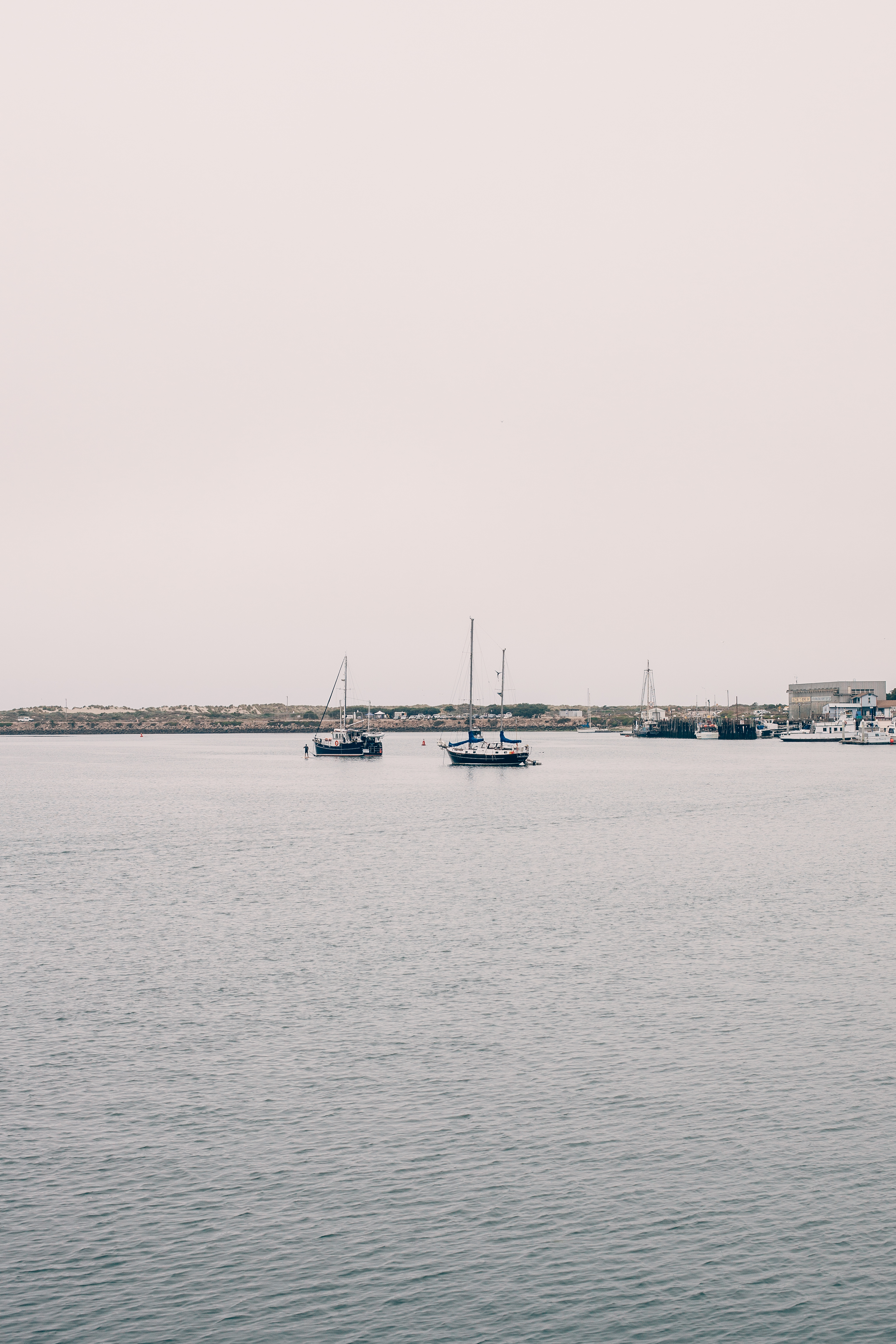 Sailboats anchored in calm waters of Morro Bay harbor under an overcast sky with distant sand dunes.