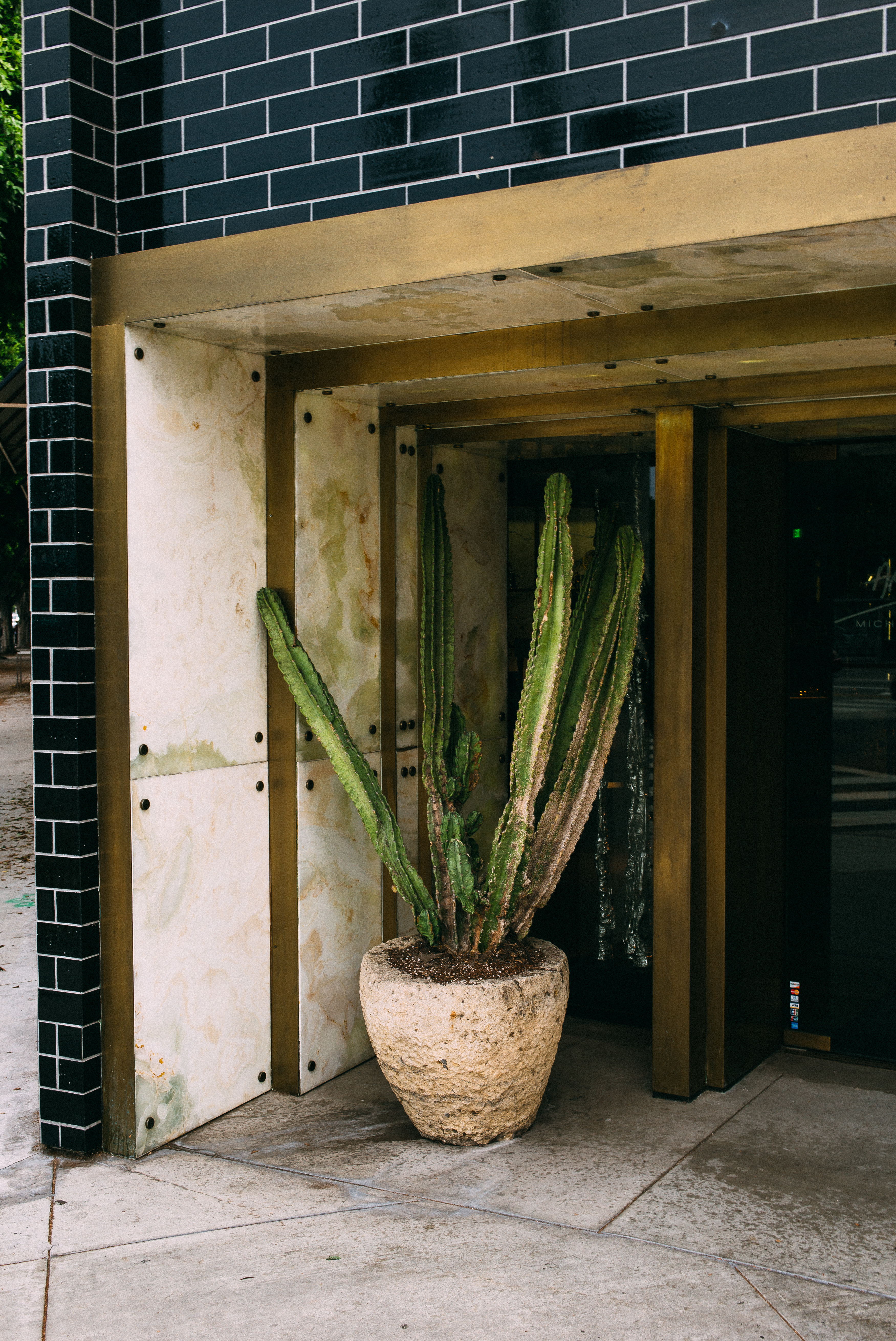 Tall prickly cactus in a stone planter beside a brass-trimmed doorway framed in black tile in Los Angeles.