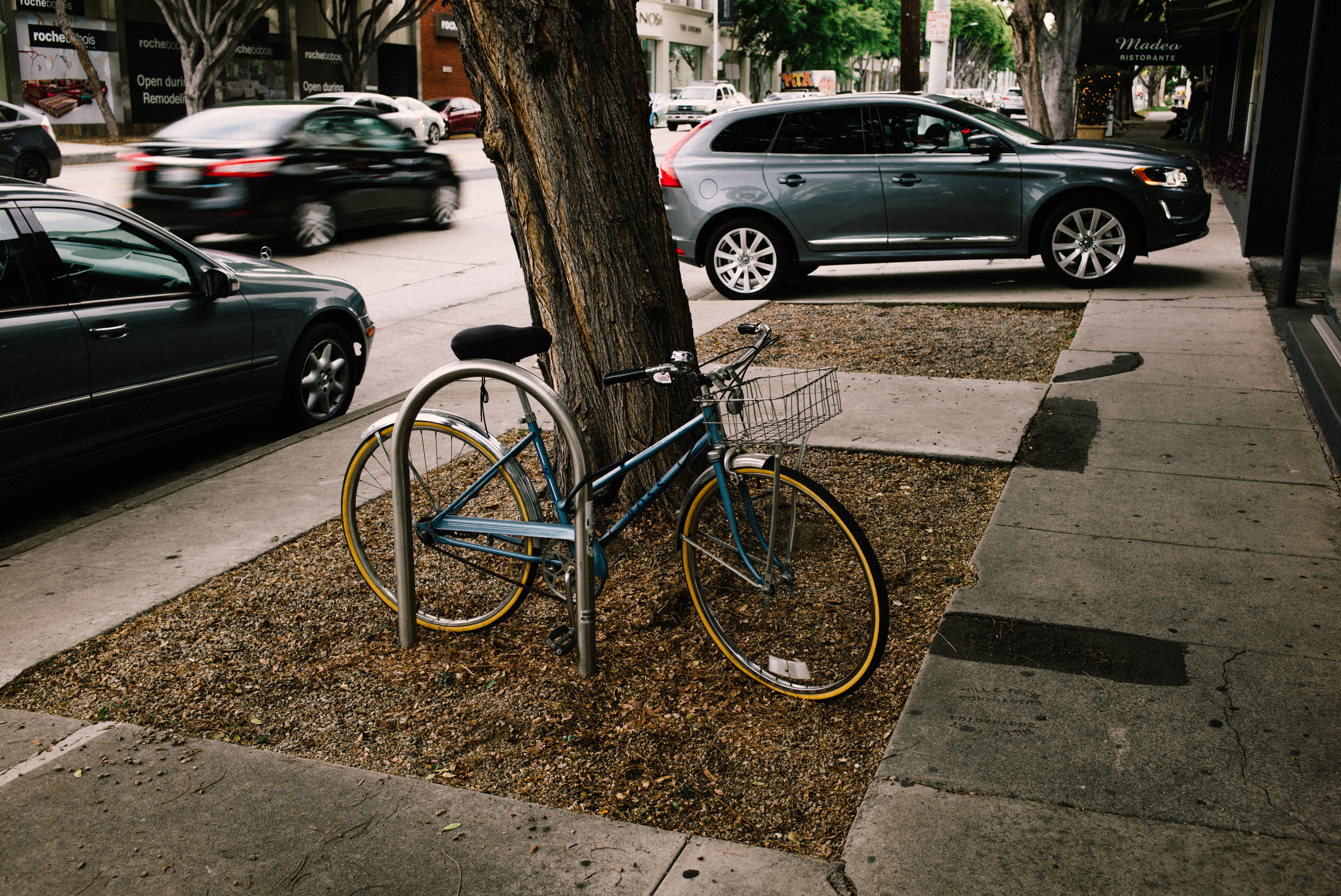 Light blue commuter bike with yellow rims and a wire basket locked to a rack beside a sidewalk tree.