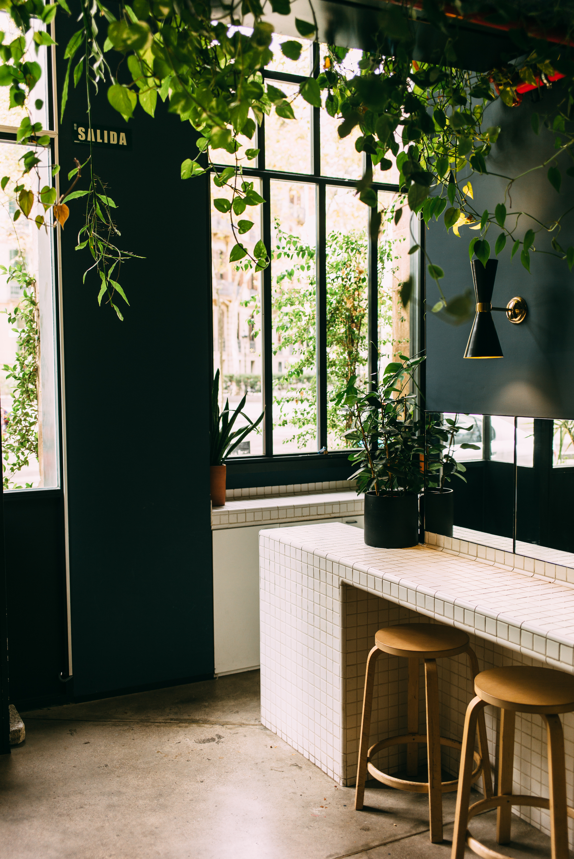 A white grid-tiled cafe bar counter with wooden barstools surrounded by lush hanging greenery and large paned windows in Barcelona, shot with a Leica M240.
