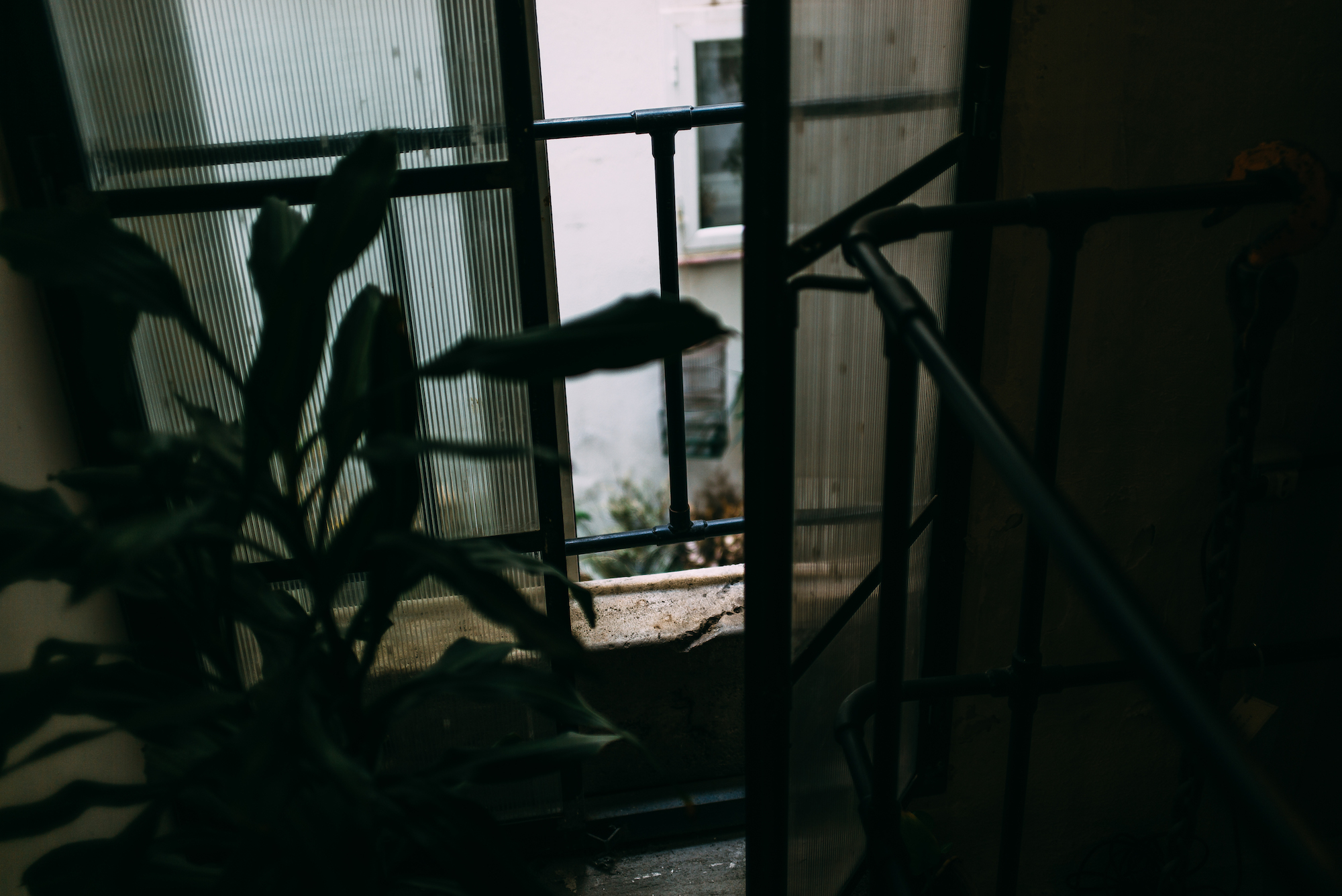 Residential courtyard with metal railings and houseplants viewed through an open doorway in Madrid.