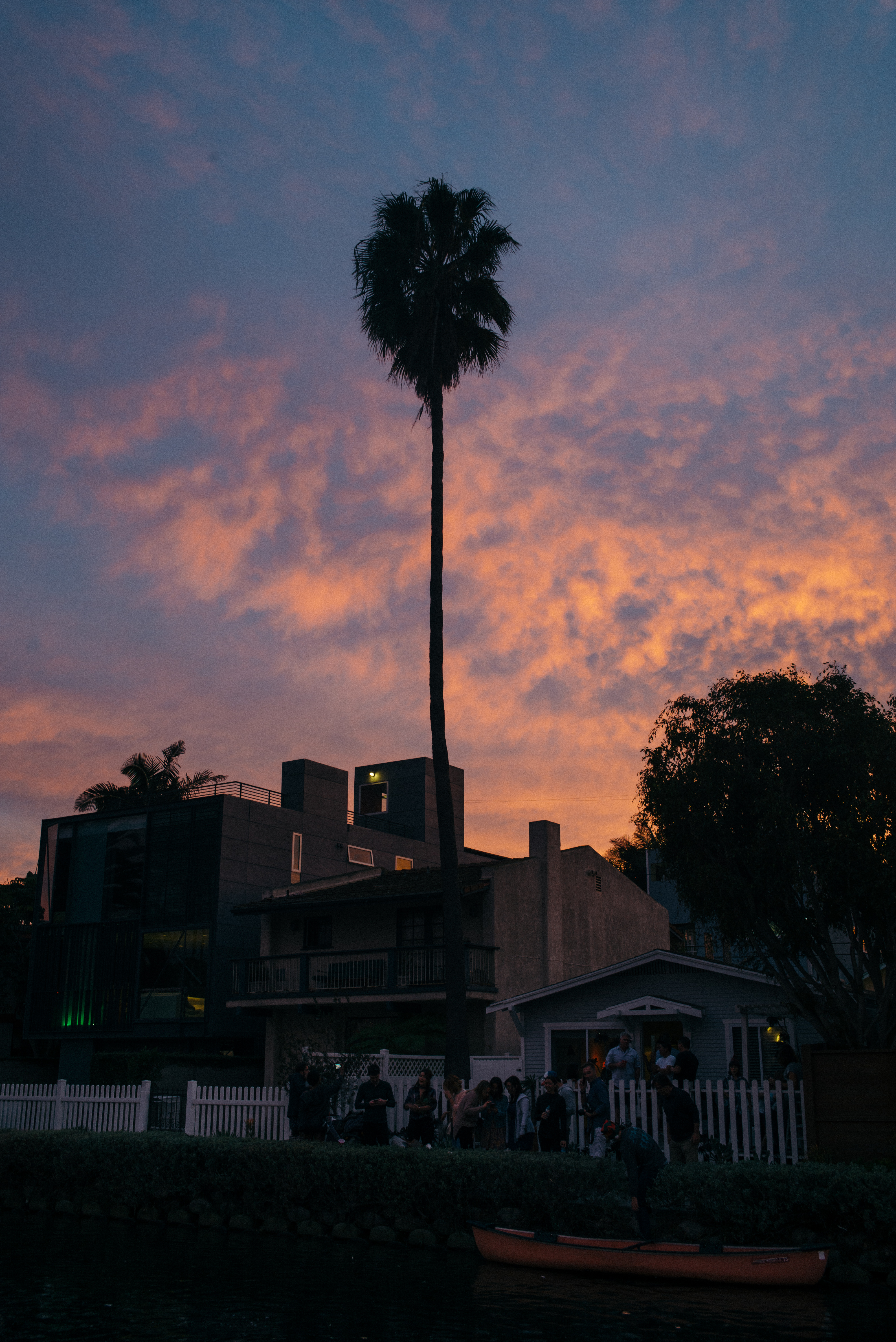 A towering silhouette of a single Mexican fan palm rising against a dramatic fiery pink and purple sunset sky above canal cottages during the Venice Canals holiday boat parade in Los Angeles, shot with a Leica M240.