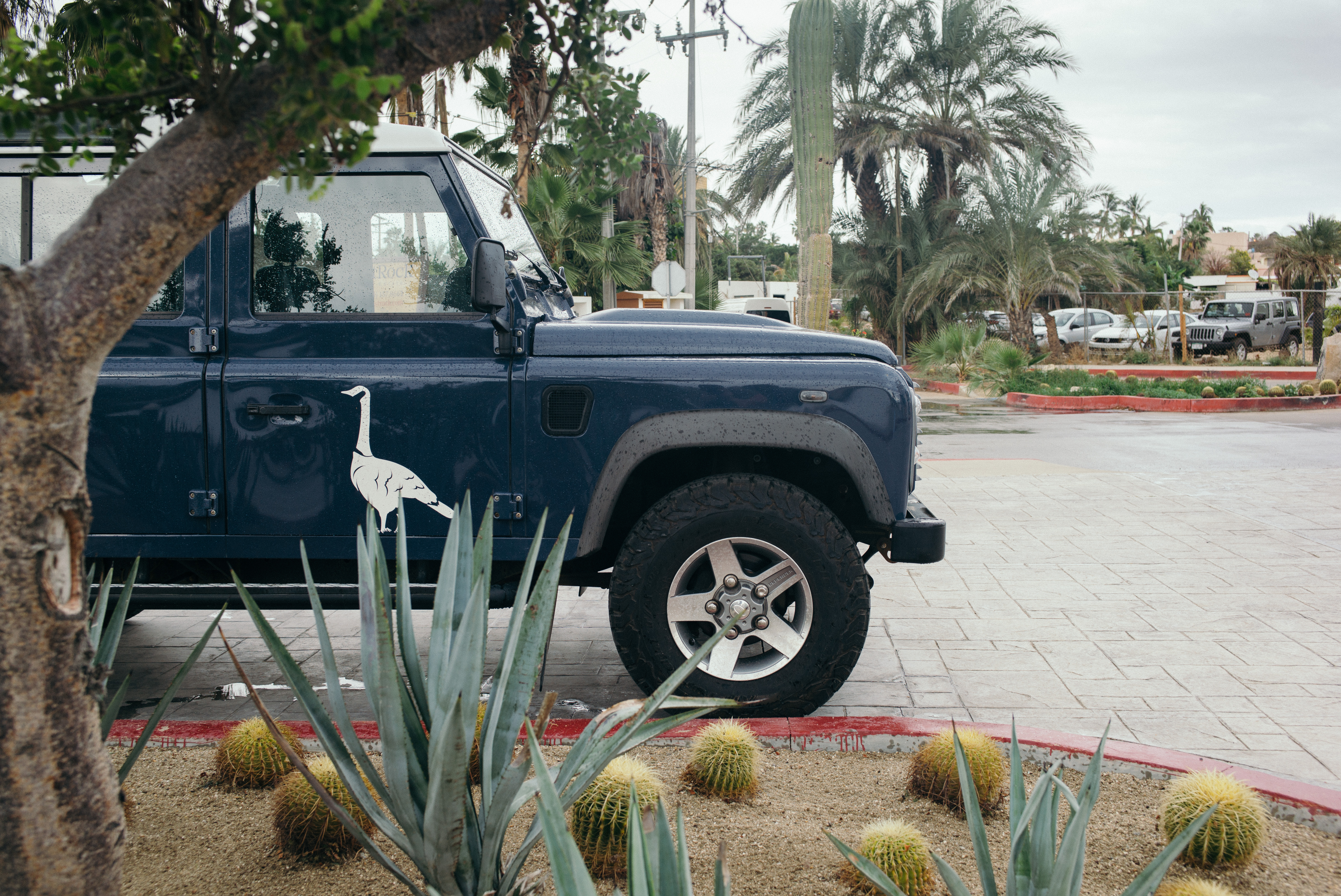A vintage turquoise Land Rover Defender adorned with the Hotel El Ganzo goose logo parked beside lush green landscaping in San Jose del Cabo, shot with a Leica M240.