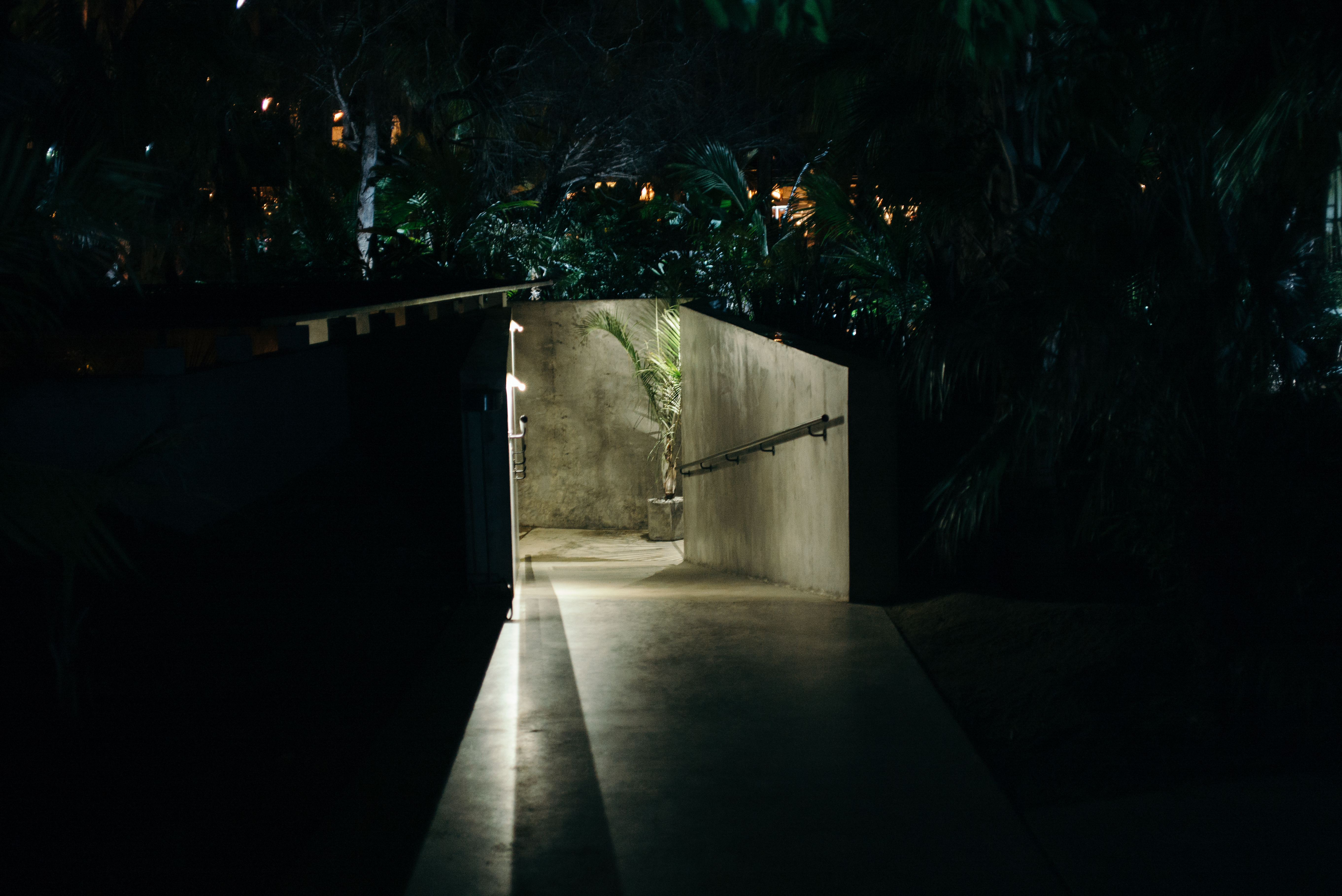Palm tree and tranquil reflecting pool lit at night in a courtyard garden at Acre Resort, San Jose del Cabo.