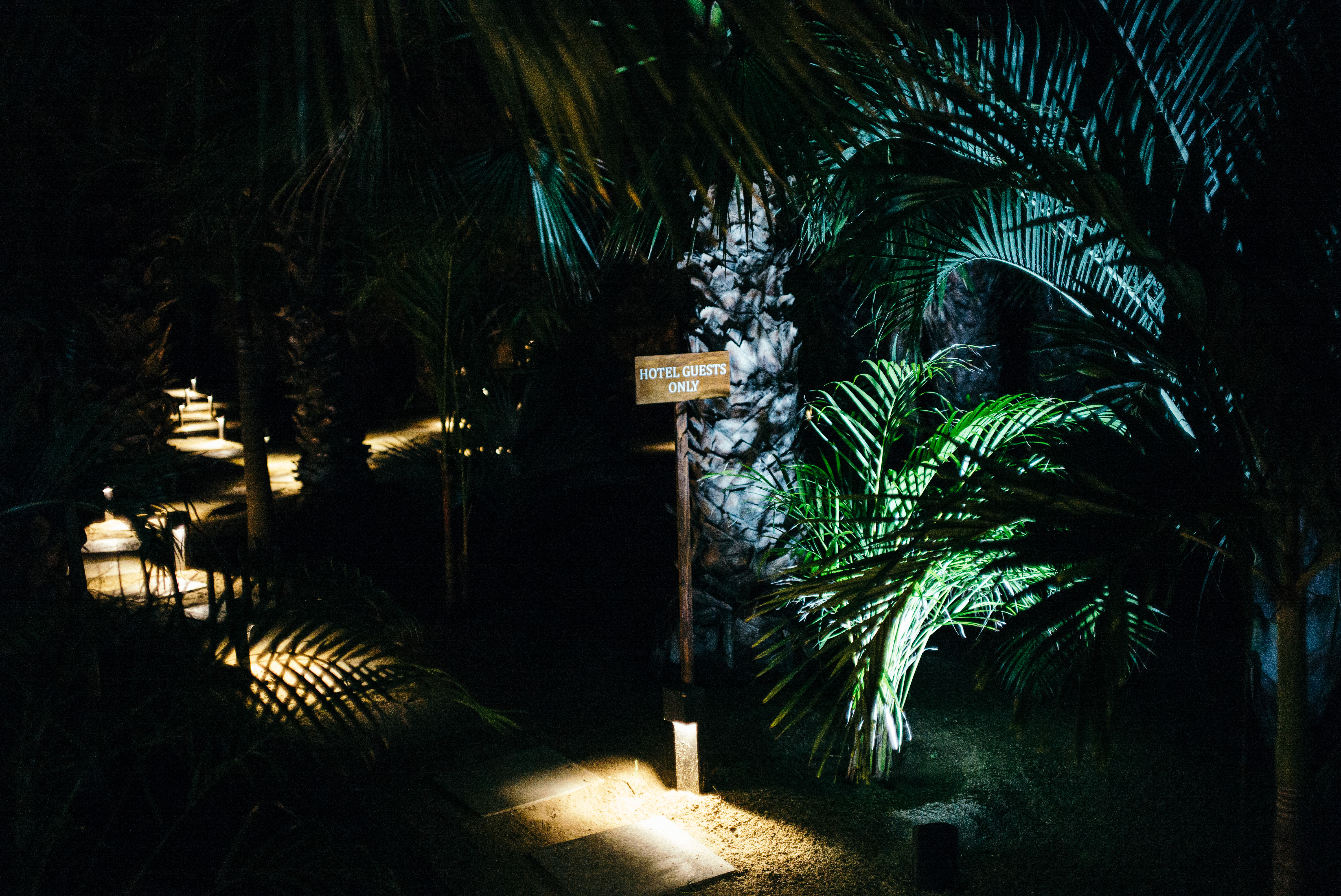Sign reading 'Hotel Guests Only Beyond This Point' beside a lit path through palms in San Jose del Cabo.