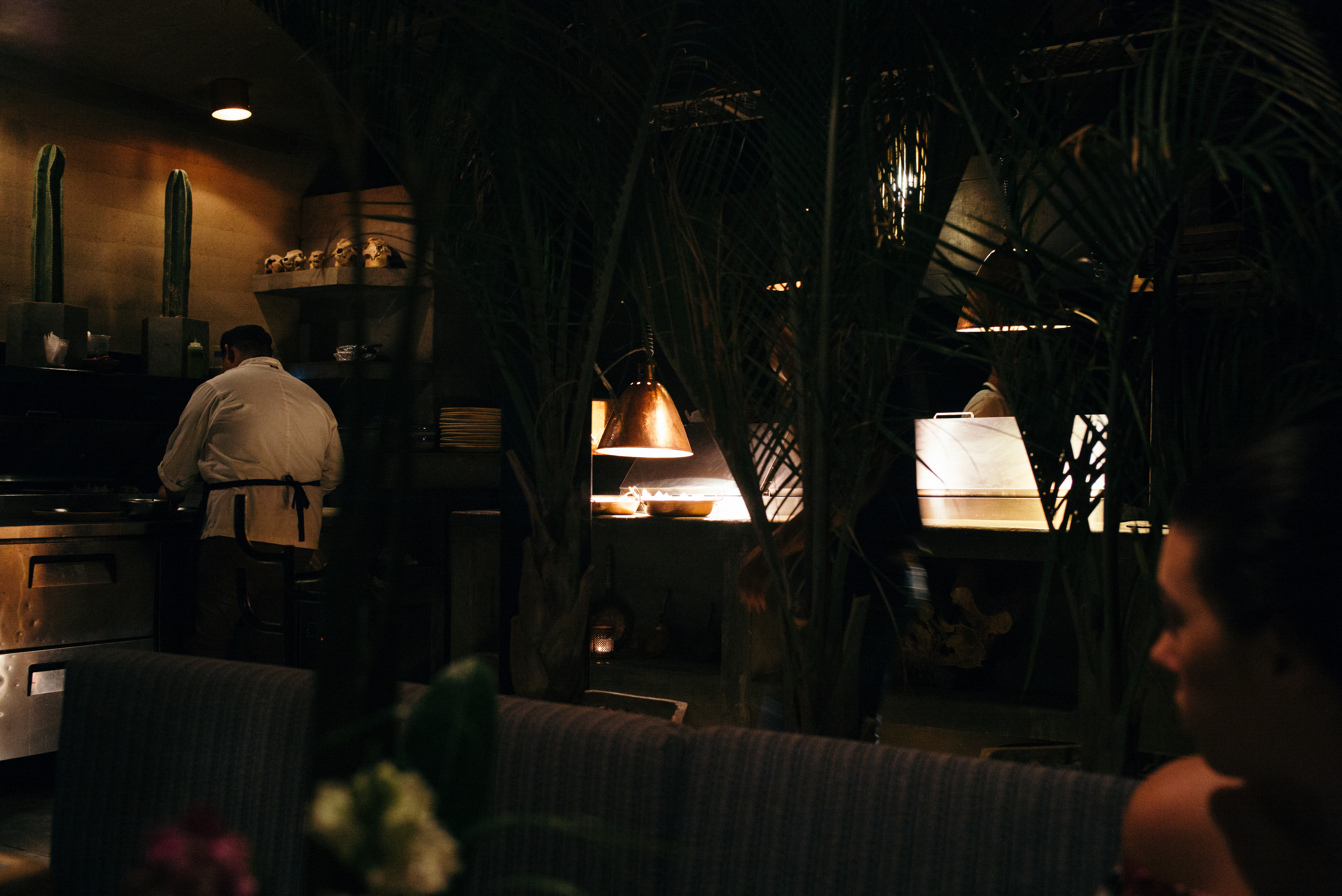 Kitchen staff plating fresh dishes under heat lamps on a stainless counter in San Jose del Cabo.