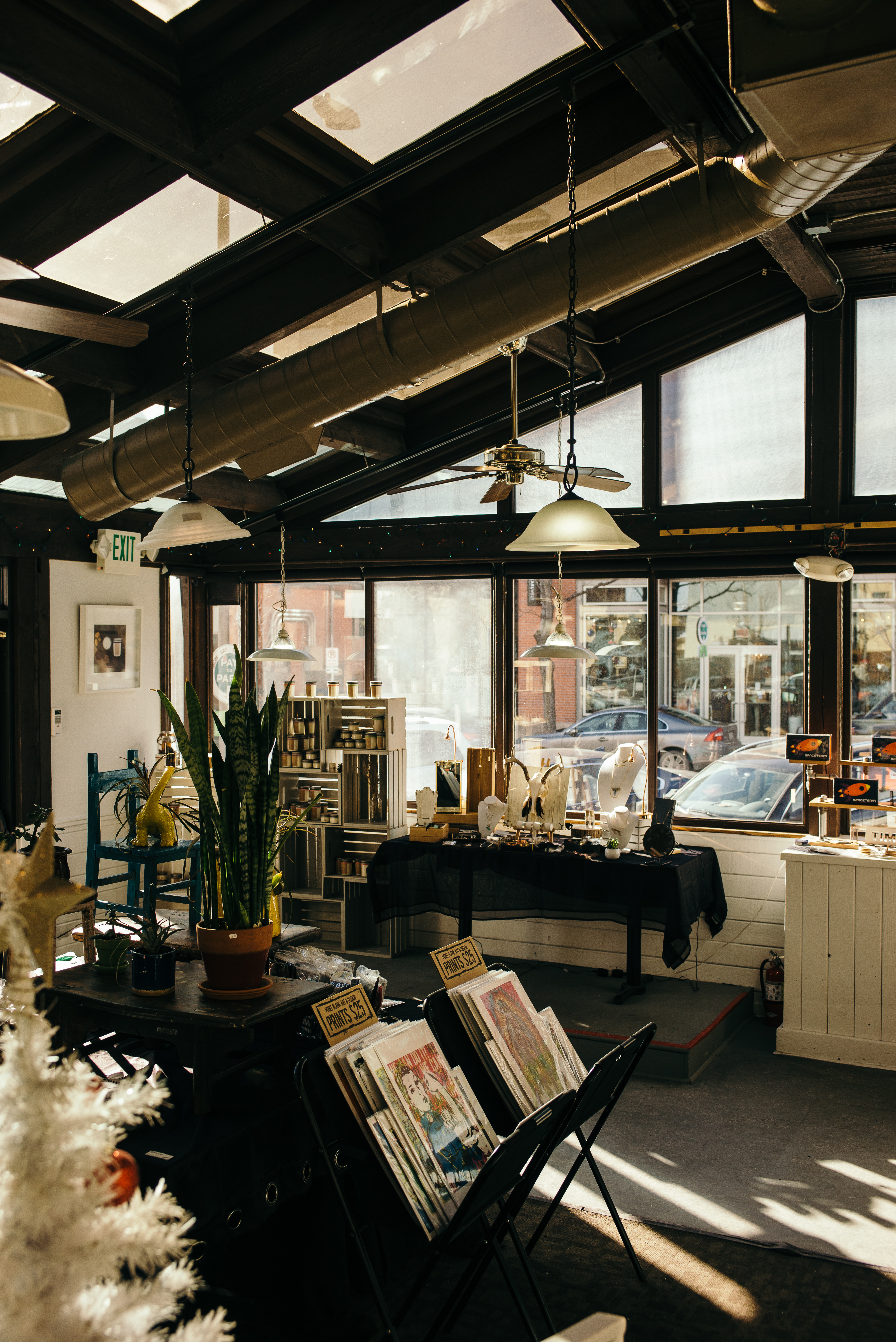 Sunlit boutique shop displaying handcrafted jewelry, potted snake plants, candles, and art prints.
