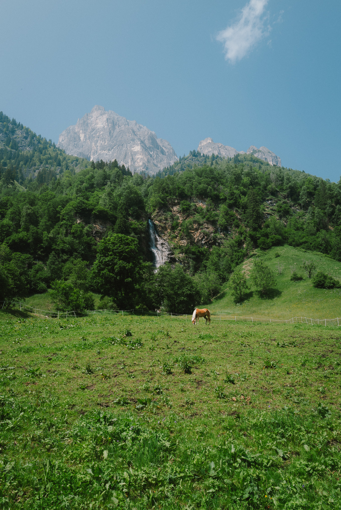 Scenic alpine meadow with a pinto horse grazing peacefully in green grass below steep granite mountain cliffs and a distant cascading waterfall.