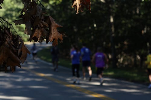 Photo of the Day - Runner’s High