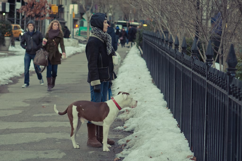 Photo of the Day - Woman And Her Dog